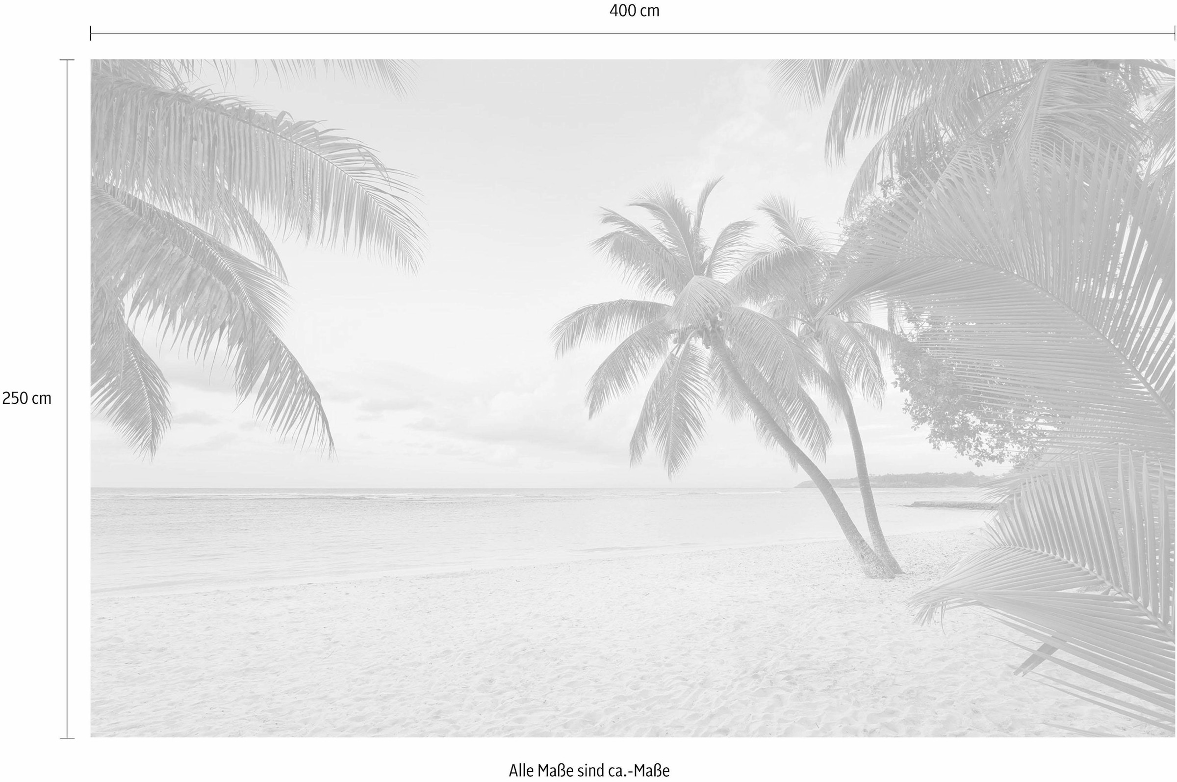 Komar Vliestapete »Digitaldruck Vlies - Paradise Morning - Größe 400 x 250 cm«, bedruckt, Wohnzimmer, Schlafzimmer