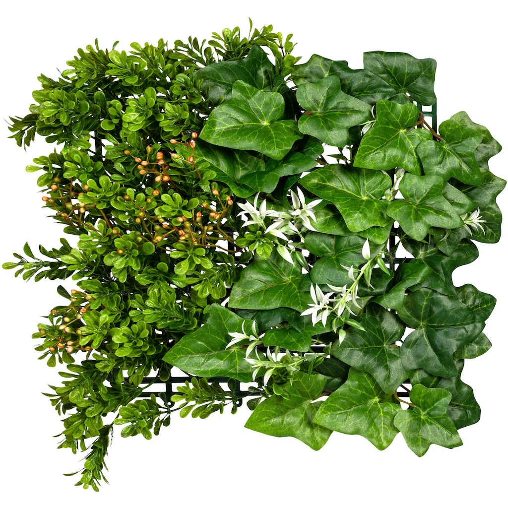 Creativ green Künstliche Zimmerpflanze »Blättermatte Buchsbaum-Efeumix«