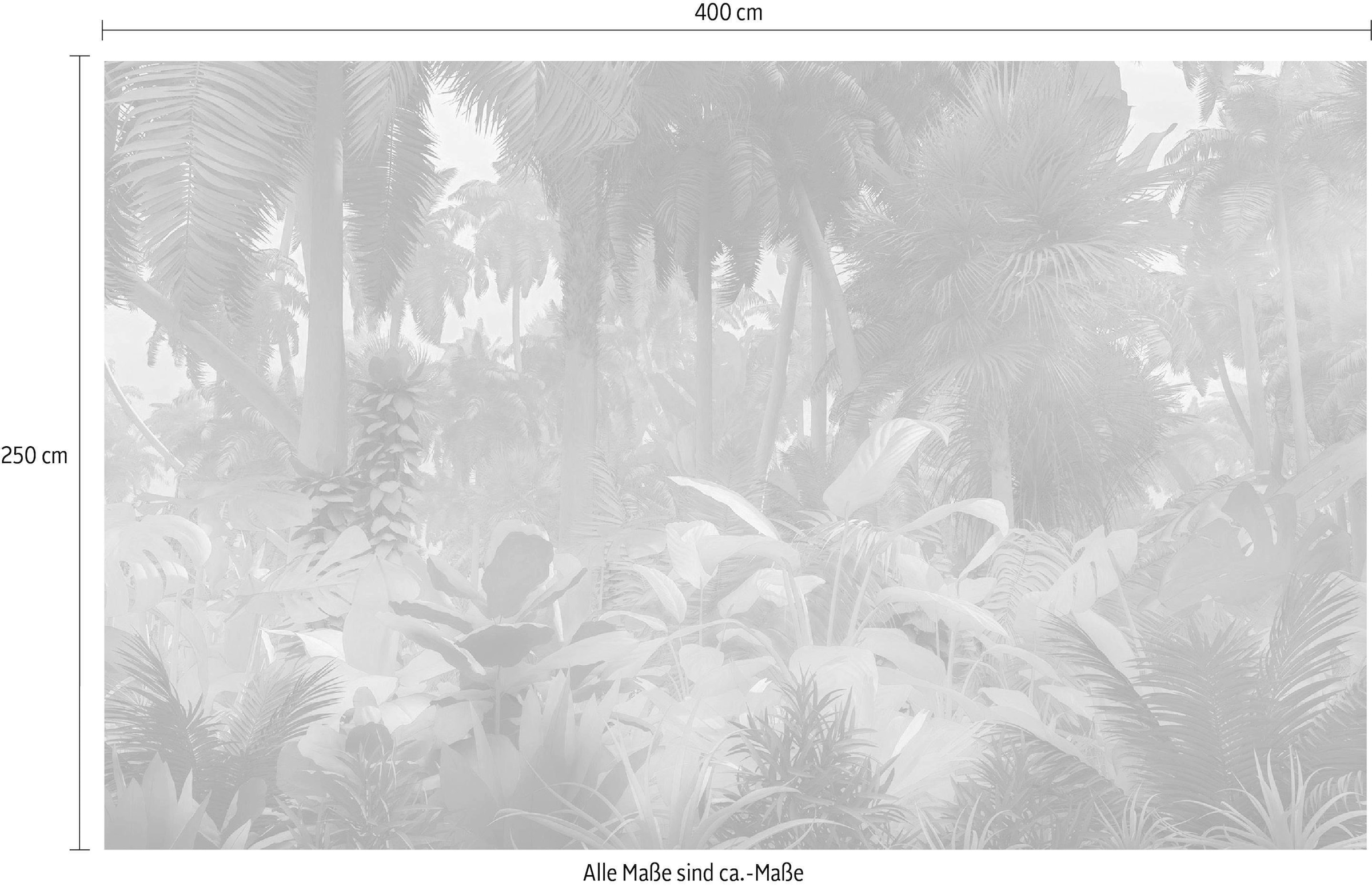 Komar Vliestapete »Digitaldruck Vlies -  Misty Jungle - Größe 400 x 250 cm« bedruckt glatt Wohnzimmer, Schlafzimmer
