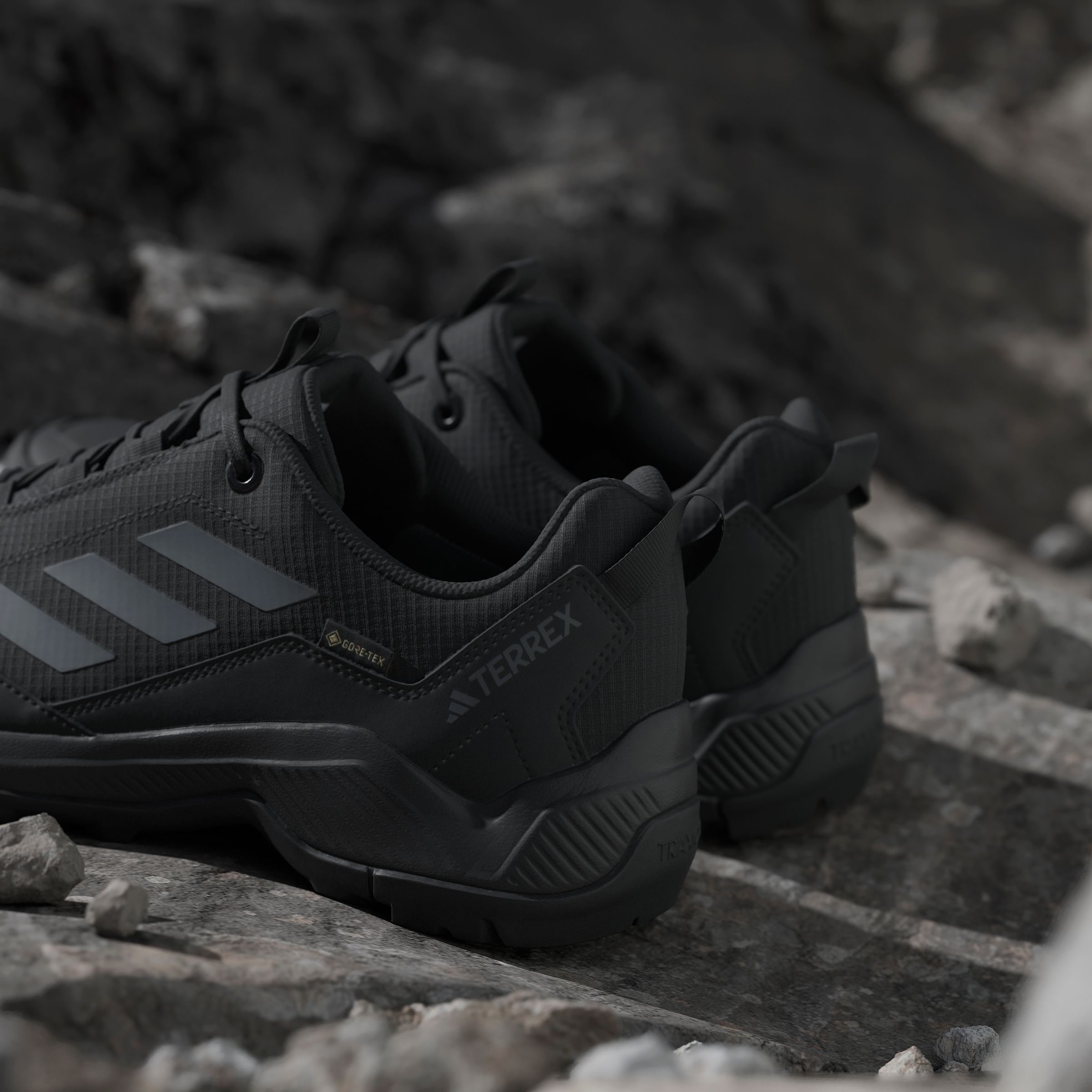 adidas TERREX Wanderschuh »TERREX EASTRAIL GORE-TEX«