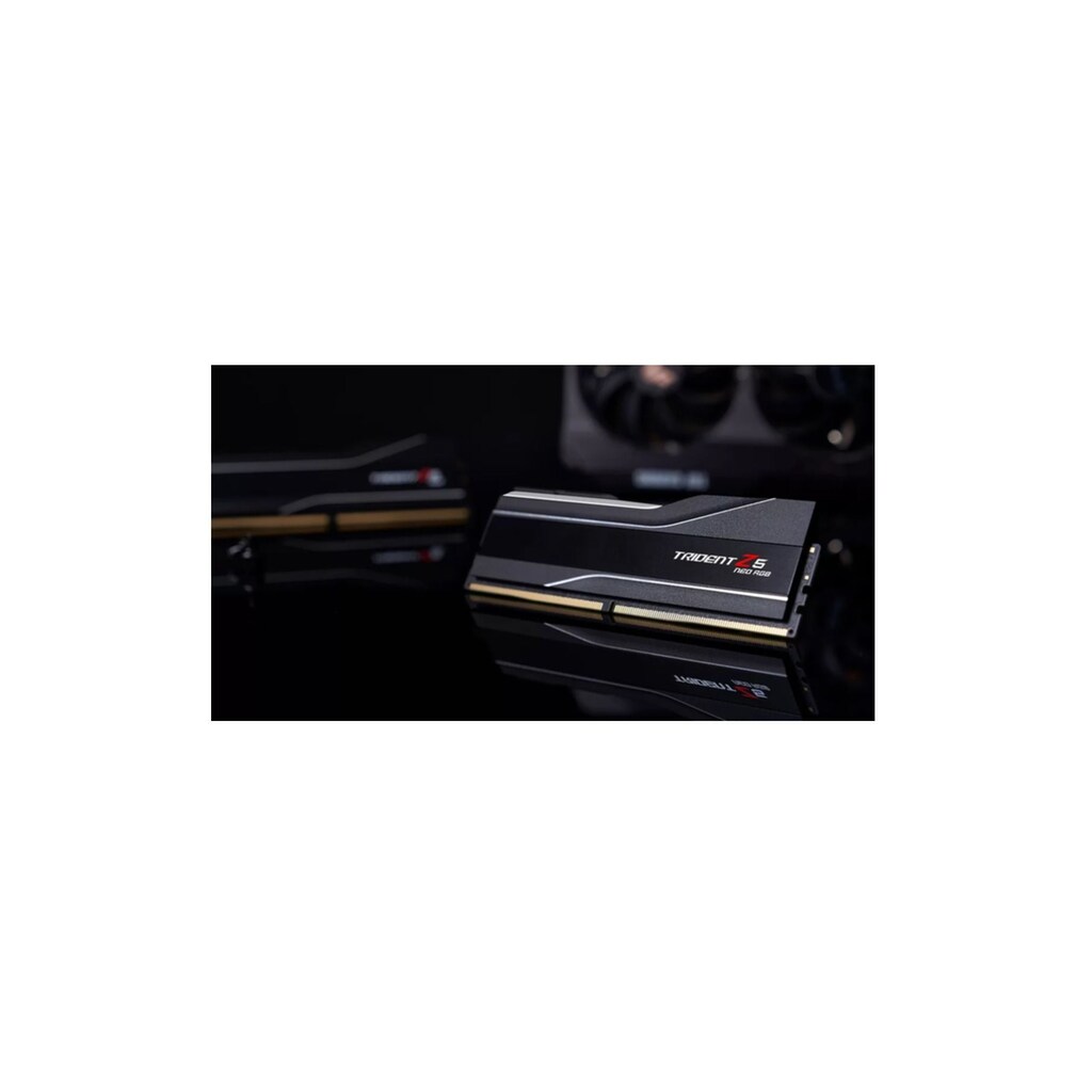 G.Skill PC-Arbeitsspeicher »F5-6000J3636F16GX2-TZ5NR«