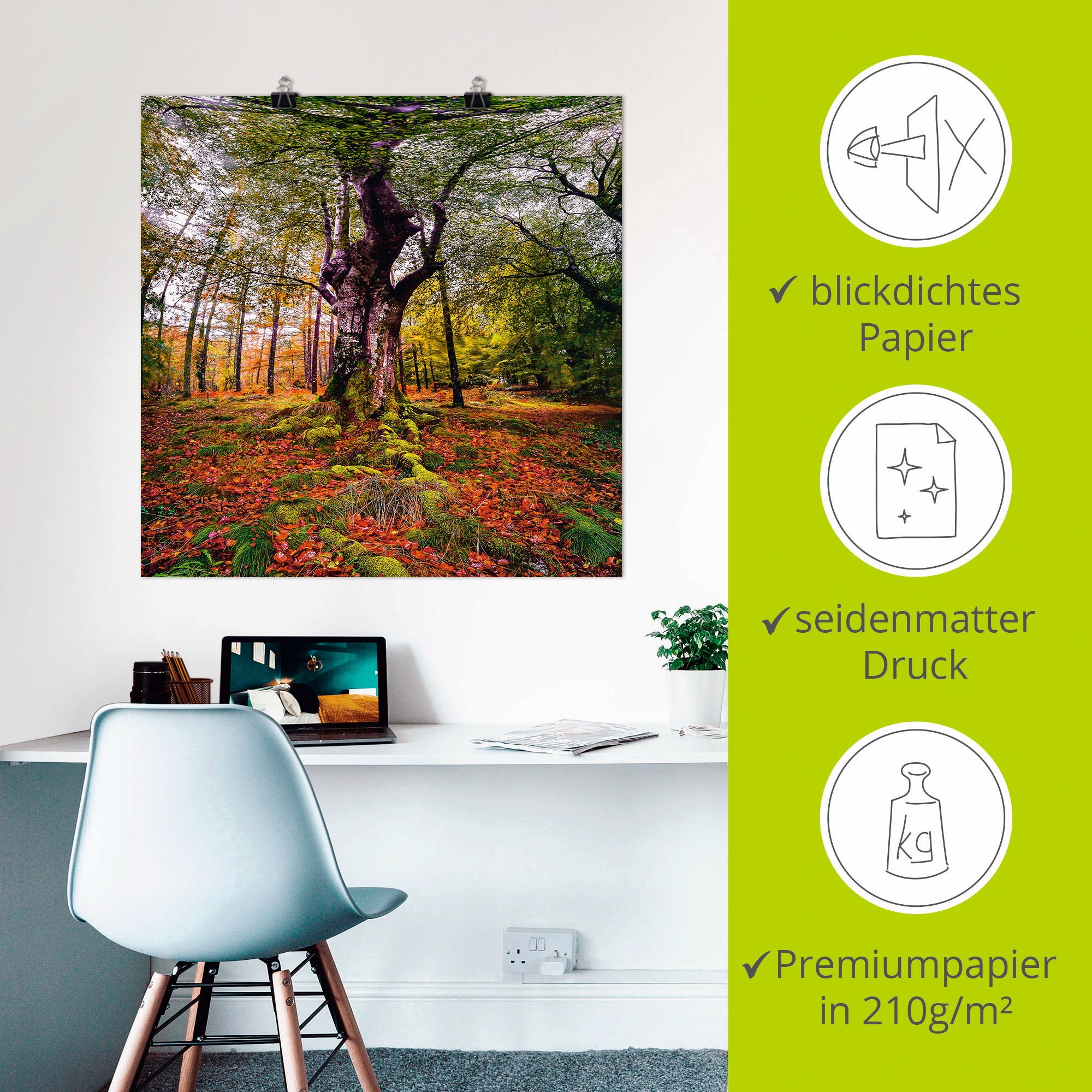 Artland Wandbild »Baum im Wald«, Baumbilder, (1 St.), als Leinwandbild, Poster in verschied. Größen