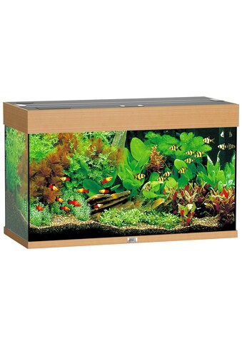 JUWEL AQUARIEN Aquarium »Rio 125 LED«, BxTxH: 81x36x50 cm, 125 l kaufen