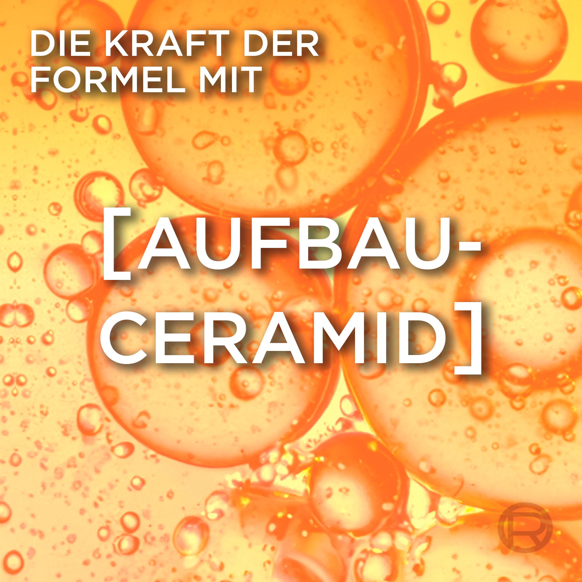 L'ORÉAL PARIS Haarspülung »L'Oréal Paris Elvital Anti-Haarbruch Spülung«, (6 tlg.)