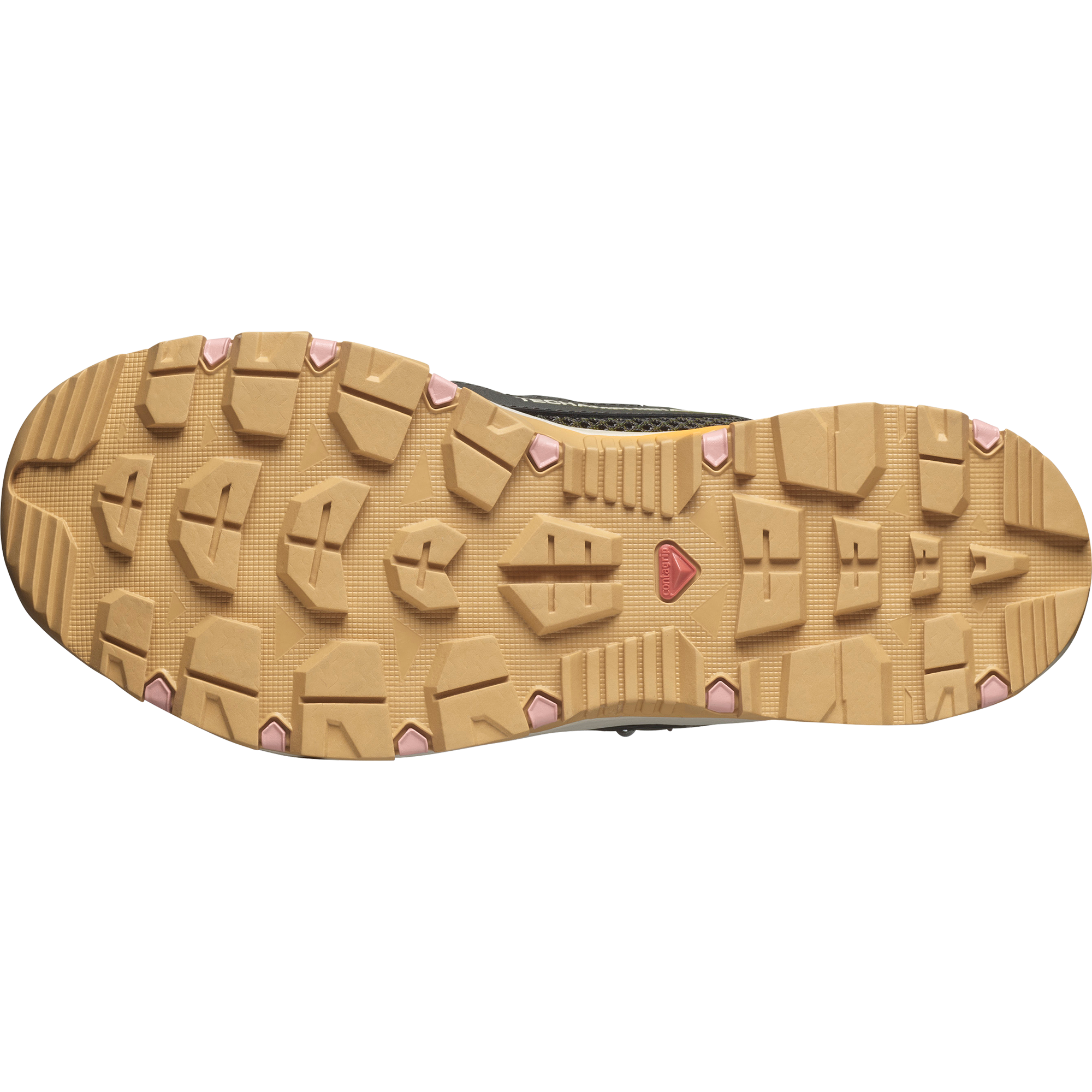 Salomon Wasserschuh »TECHAMPHIBIAN 5«