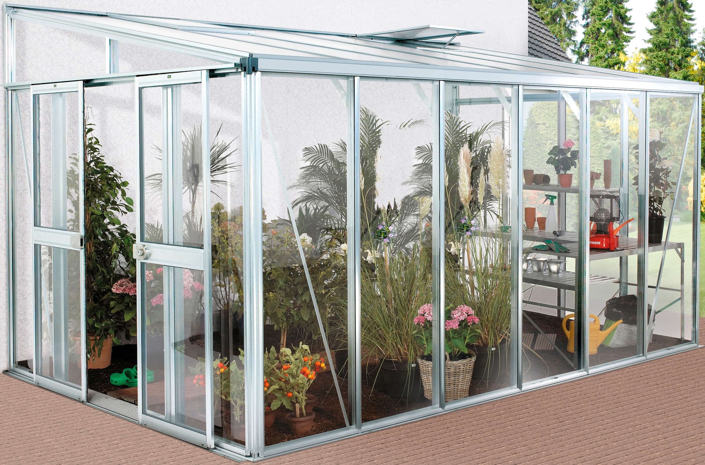 Vitavia Gewächshaustür »H_elena« BxH: 119x176 cm, silberfarben