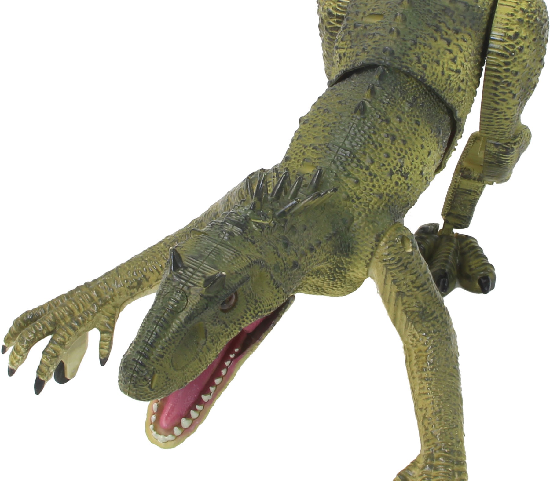 Jamara RC-Tier »Dinosaurier Exoraptor, Li-Ion 3,7V, 2,4GHz, grün«, mit  Licht und Sound bequem bestellen