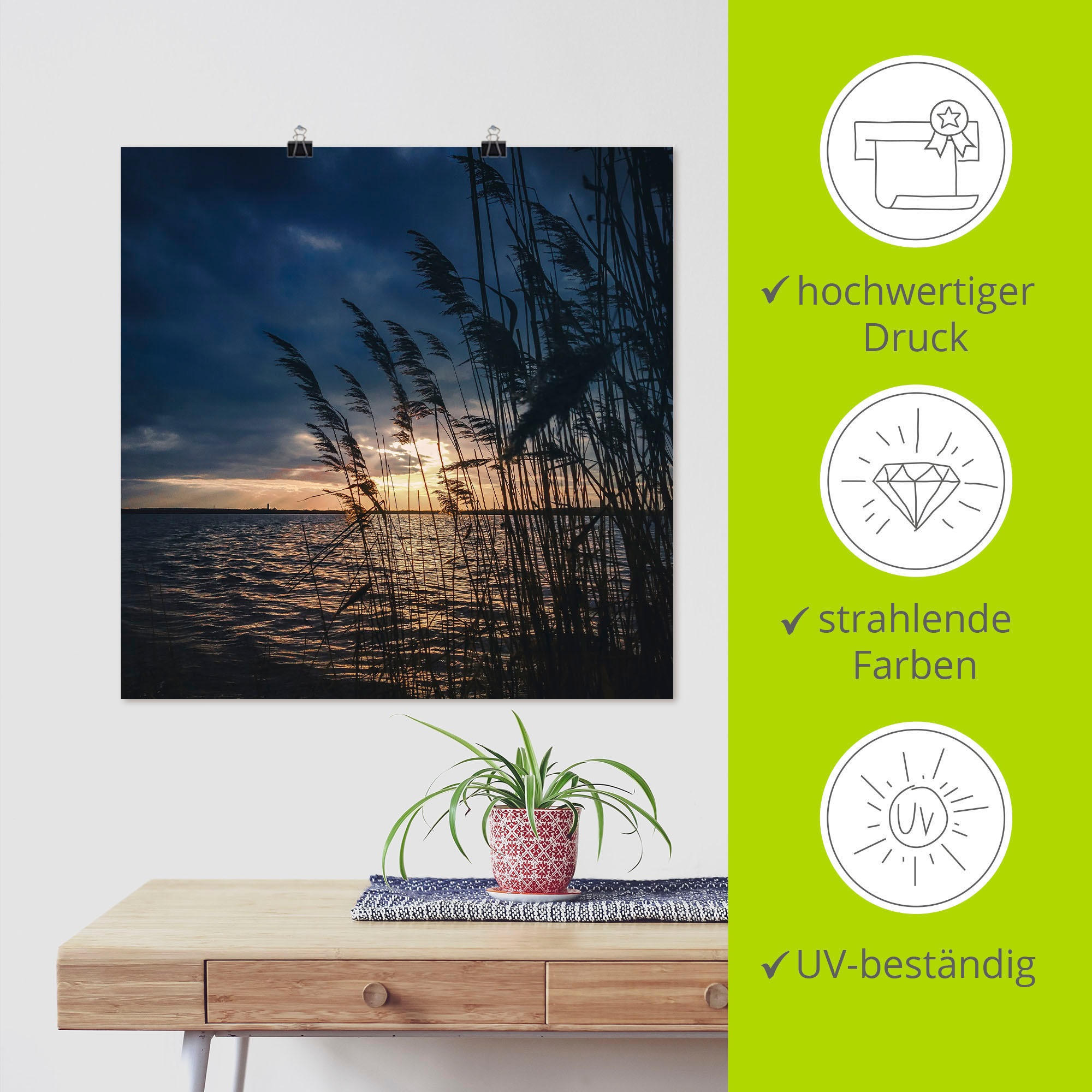 Artland Alu-Dibond-Druck »Sonnenuntergang mit Schilf am See«, Seebilder, (1 St.), für Innen- und Außenbereich geeignet, Outdoorbild