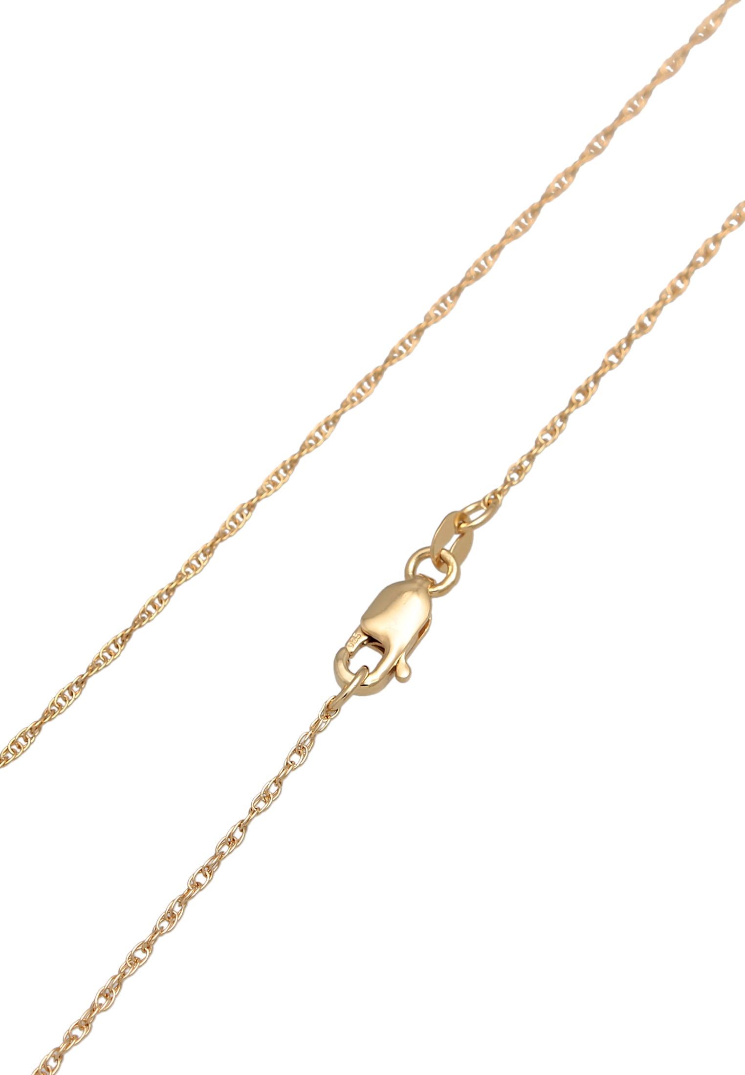 Elli Premium Kette mit Anhänger »Halskette Antike Münze Sonne Labradorit 925 Silber«