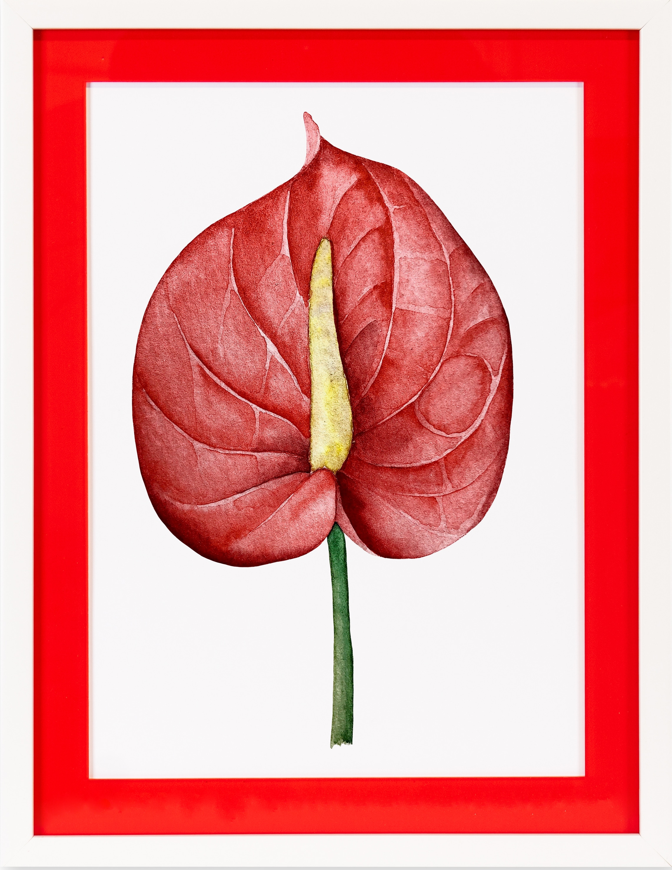 queence Bild mit Rahmen »Blüte, rot, Stempel«, Blumen-Blumenbilder, (1 St.), Poster mit buntem Acrylglas Passepartout