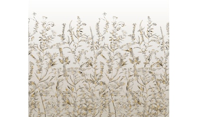 Komar Fototapete »Eldorado«, botanisch-tropisch-Motiv, BxL: 300x250 cm, 150 g/m²,... kaufen