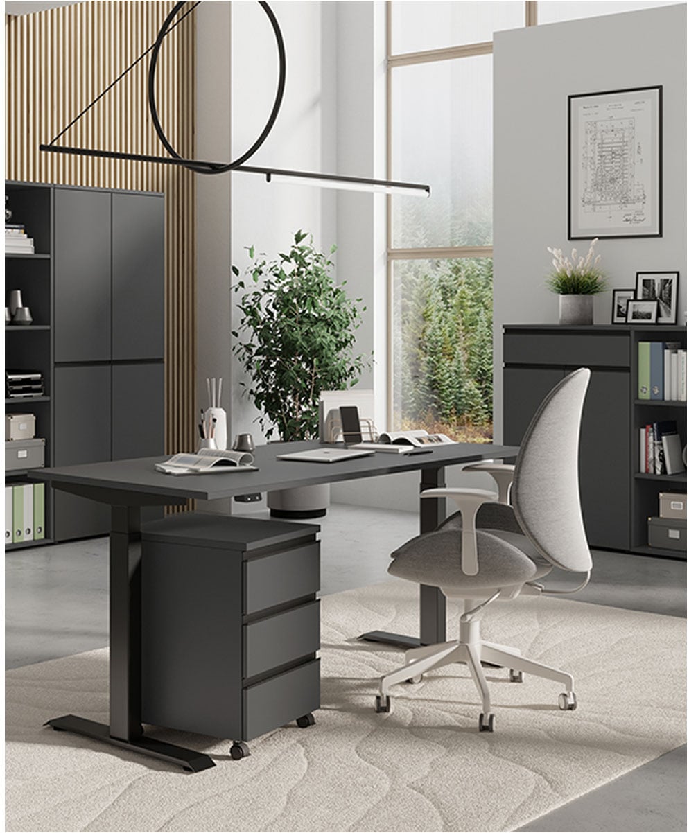 GERMANIA Büromöbel-Set »Lemont« 2 Stk. tlg. Set bestehend aus höhenverstellbarem Schreibtisch und Rollcontainer