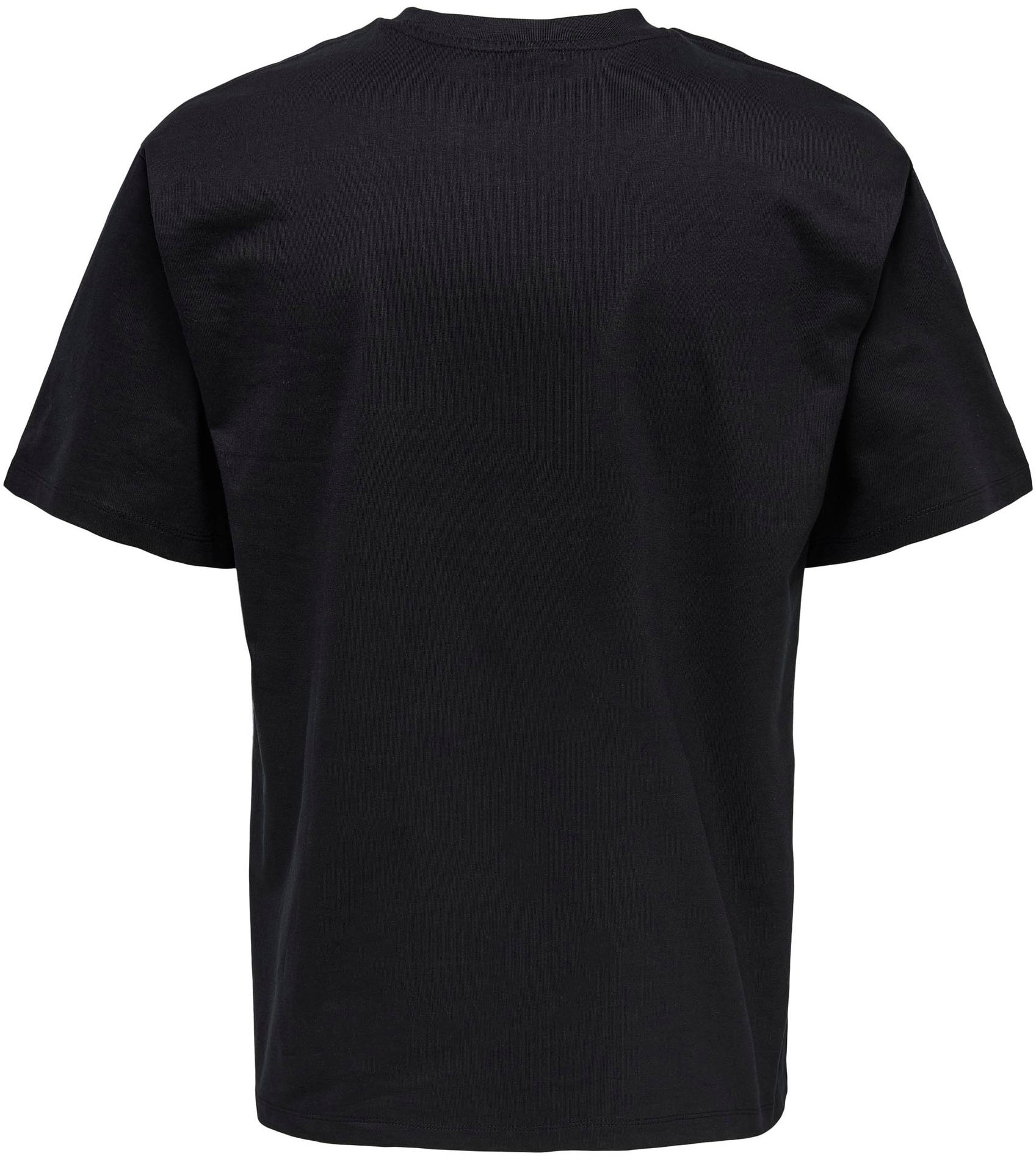 ONLY & SONS T-Shirt »ONSFRED LIFE RLX SS TEE NOOS«