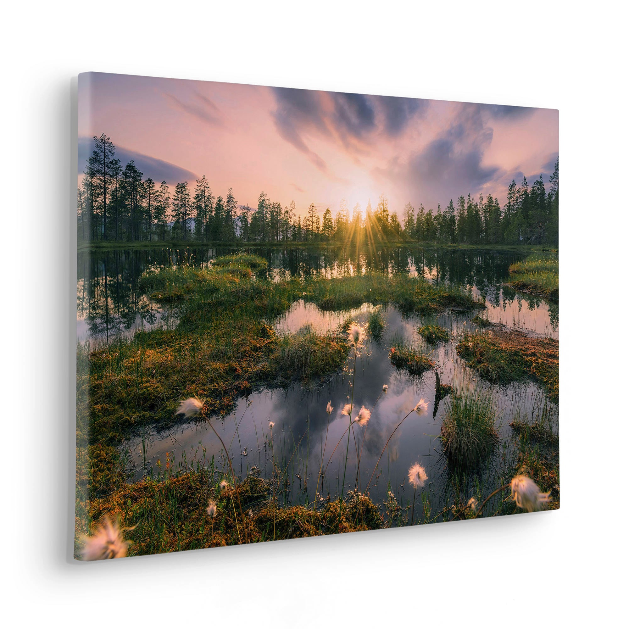 Komar Leinwandbild »Gloomy Swamps - Größe 60 x 40 cm«, Baum-Blätter-Natur-Berge-Blumen-Foto-Jahreszeiten-Landschaft-Meer-Strand-Palmen, (Packung, 1 St.), Keilrahmenbild mi Echtholzrahmen