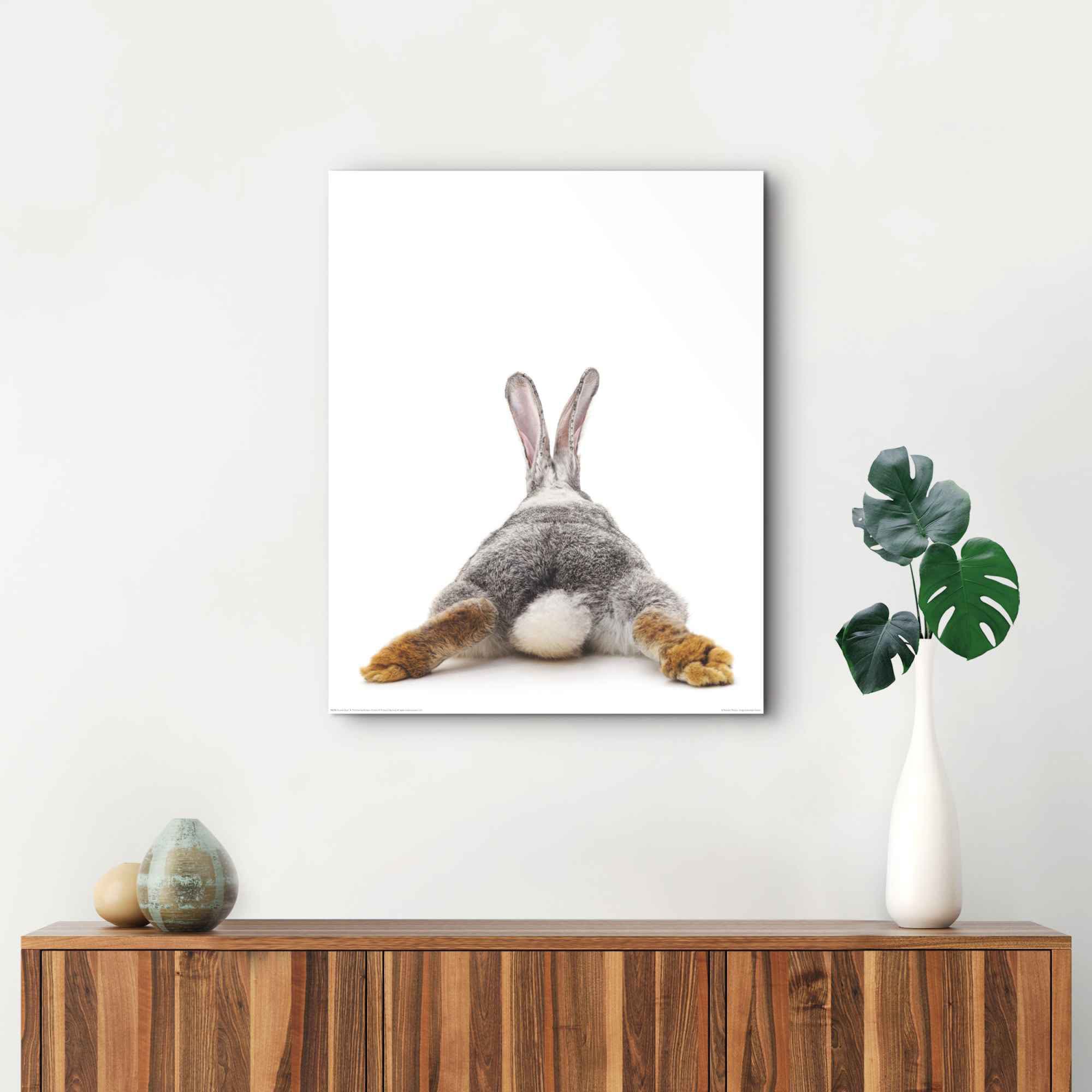 auf bestellen Kaninchen Schwanz - Rabbit (1 Wandbild St.) Hasen, Reinders! »Wandbild - Relax«, Raten - Hase