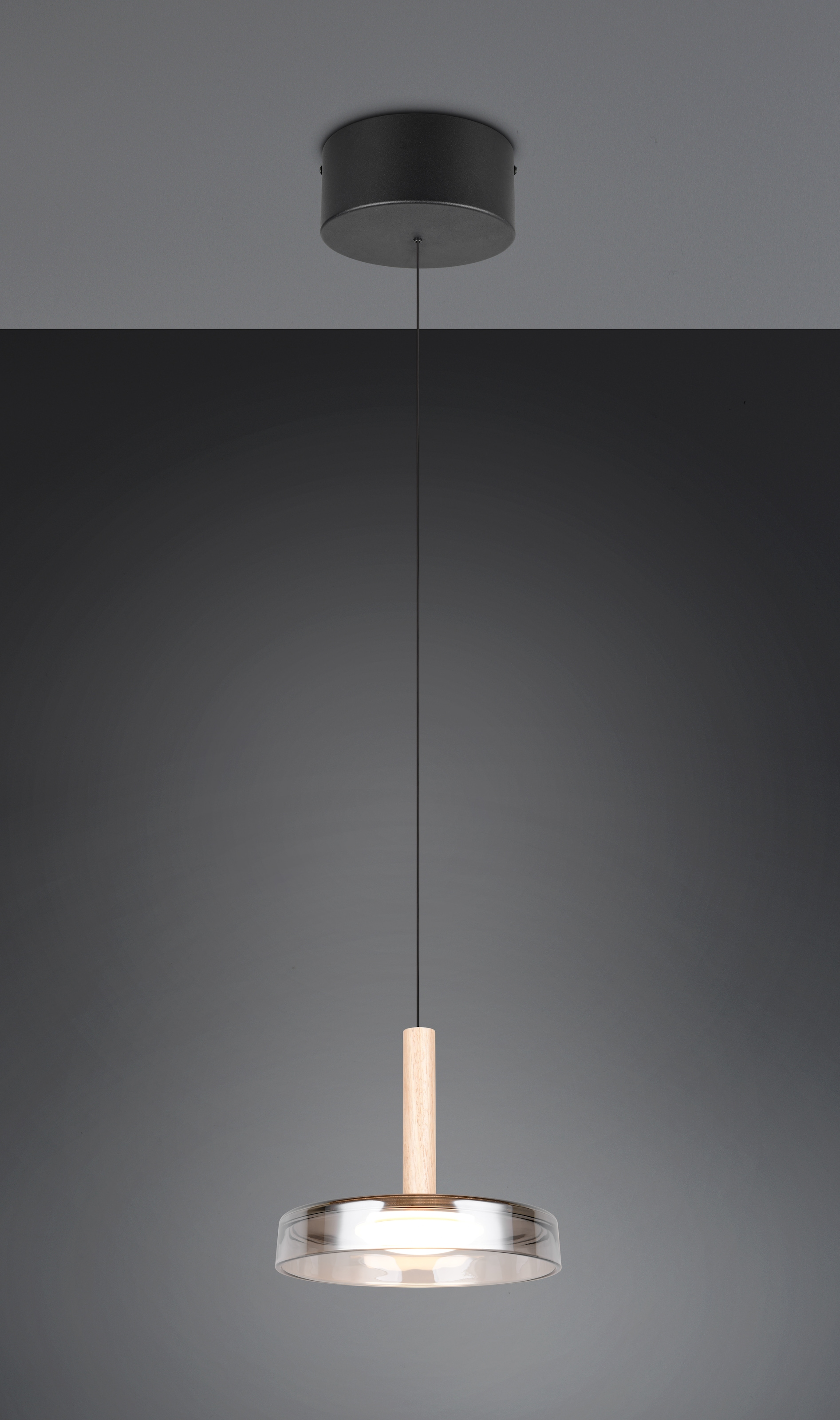 TRIO Leuchten LED Pendelleuchte »CELESTE dimmbare LED Hängelampe aus Metall Glas & Holz, 10W 1100 Lumen« LED-Board 1 Stk. Warmweiß einfach höhenverstellbar von 50-200 cm, Ø 22cm, 3-Stufen Dimmfunktion