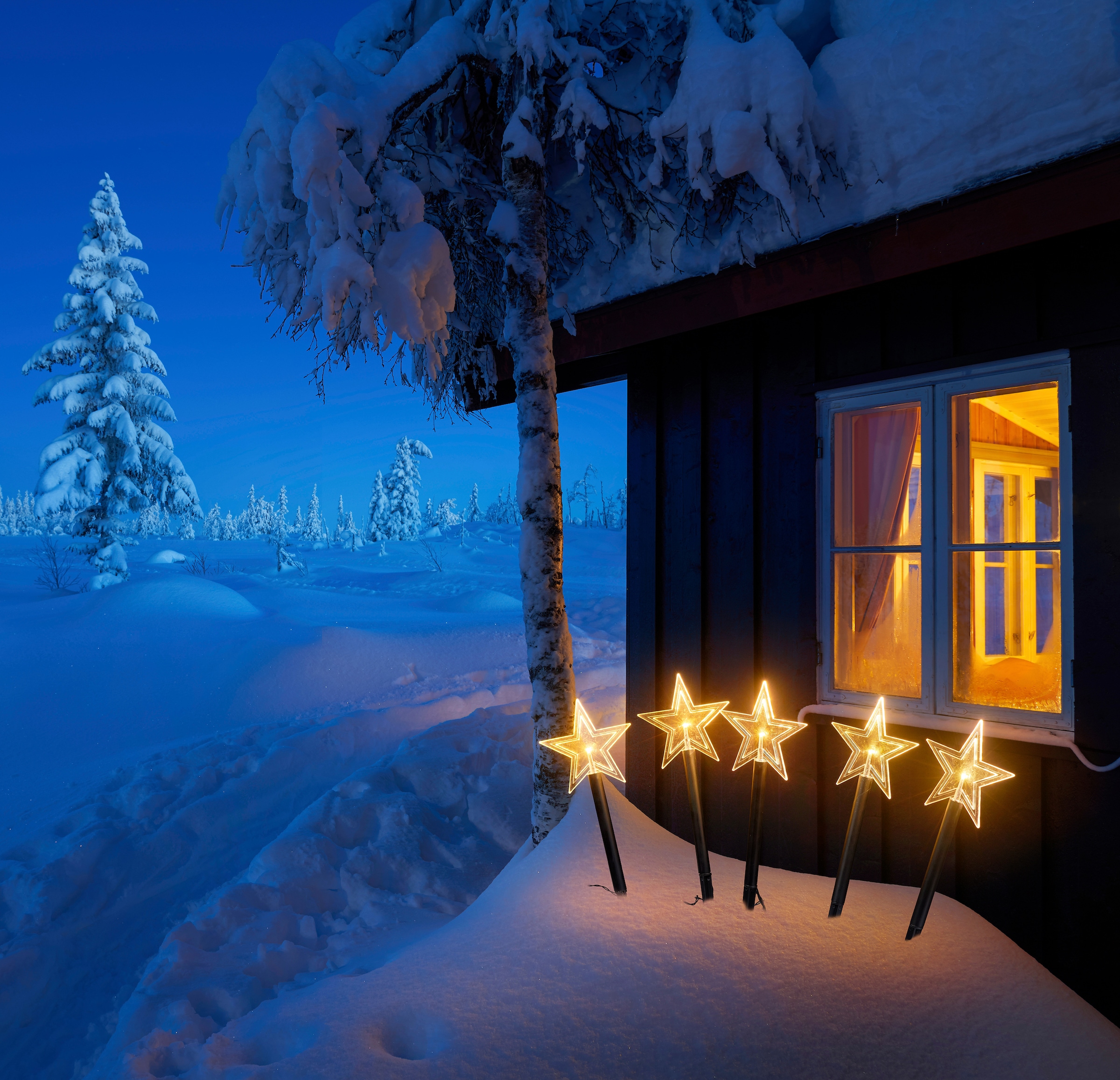 Außenbereich 3 für Weihnachtsdeko«, Jahren »Weihnachtsstern, Timerfunktion, und kaufen online mit Stern LED mit den Gartenstecker XXL Innen- | Garantie IC Winterworld