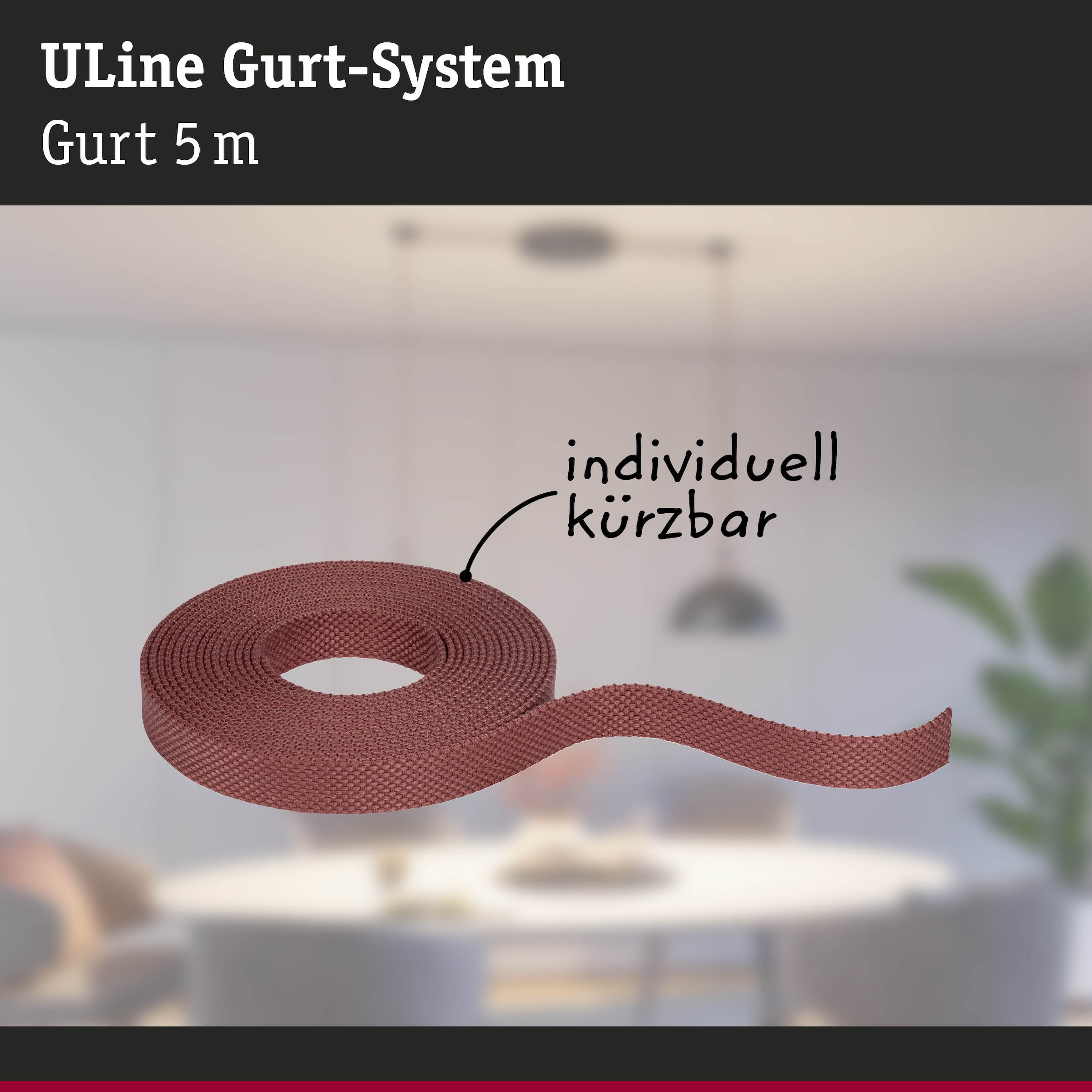 Paulmann Hängeleuchte »ULine Gurt Belt  5m« 1 Stk.