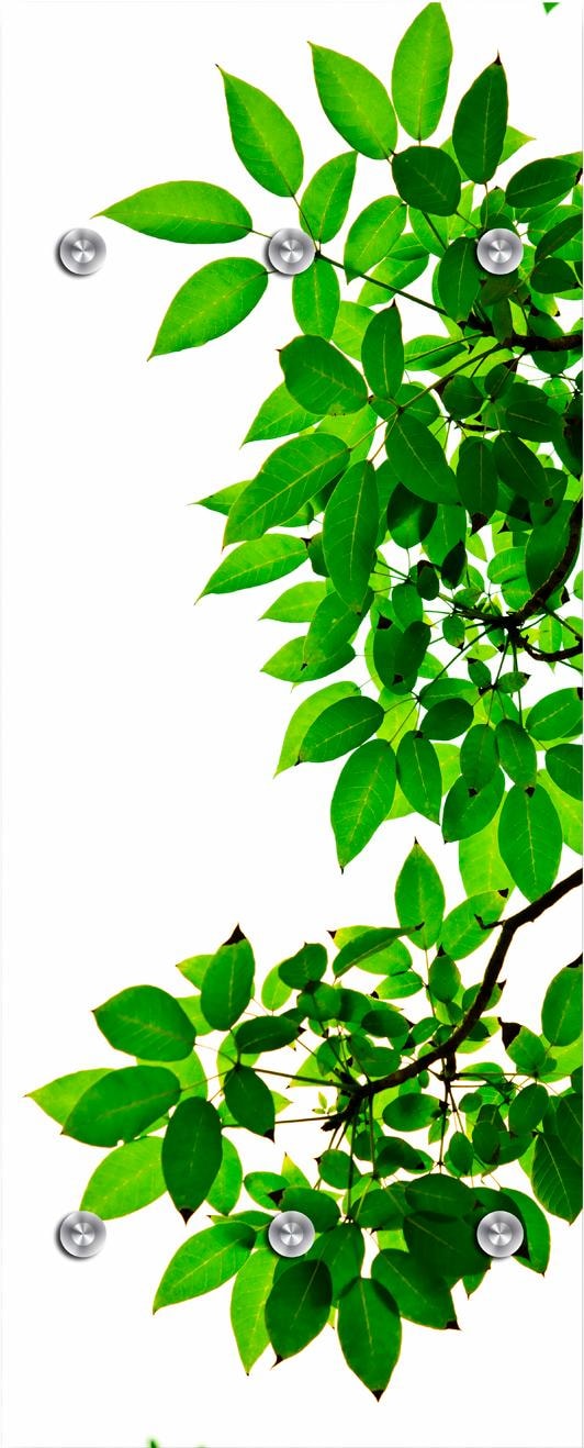 Garderobenleiste »Zweige mit Blättern«, mit 6 Haken, 50 x 120 cm