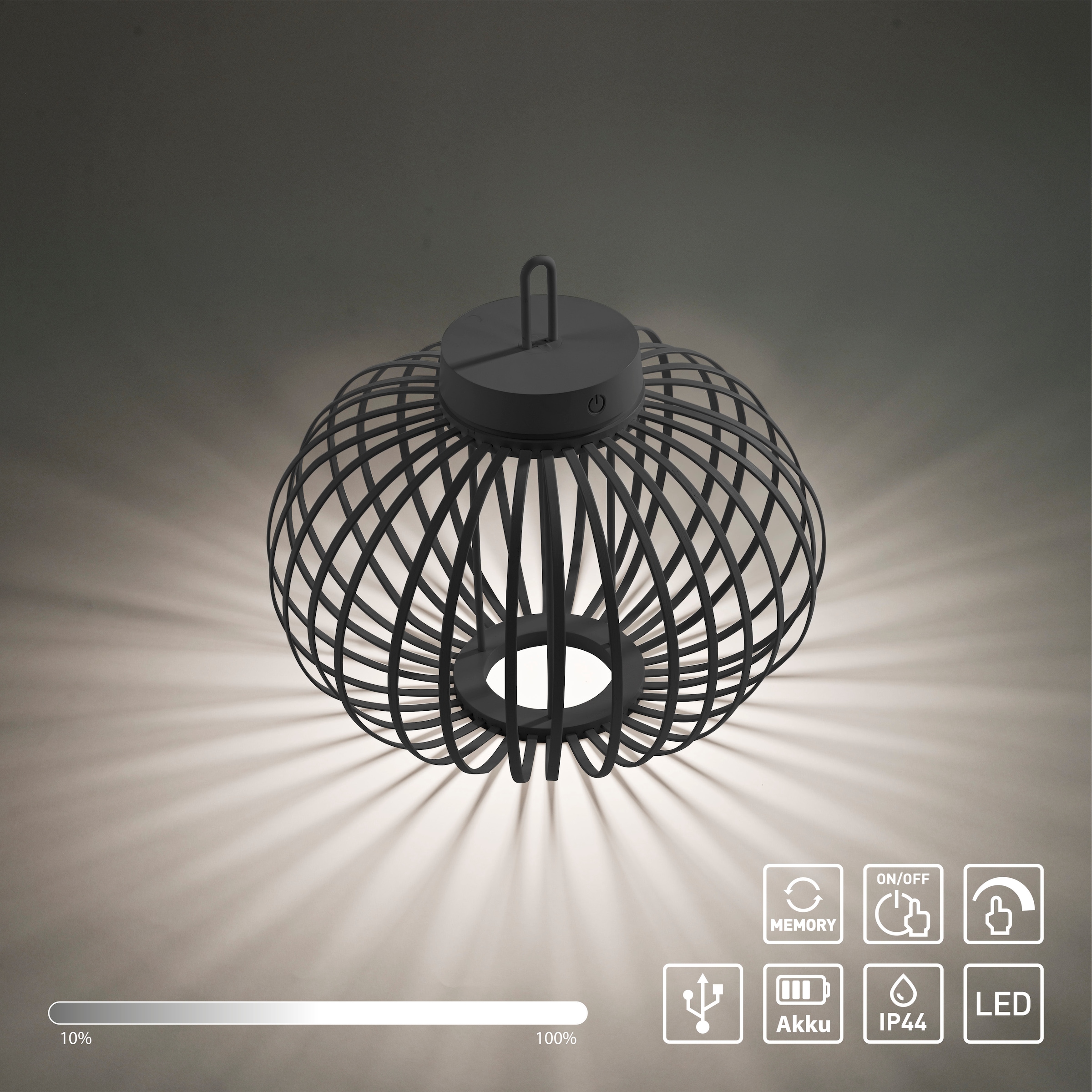 JUST LIGHT Pendelleuchte »AKUBA«, 1 flammig, Leuchtmittel LED-Modul | LED fest integriert, Akkuleuchte
