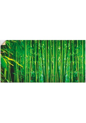 Wandfolie »Bambus II«, Gräser, (1 St.)