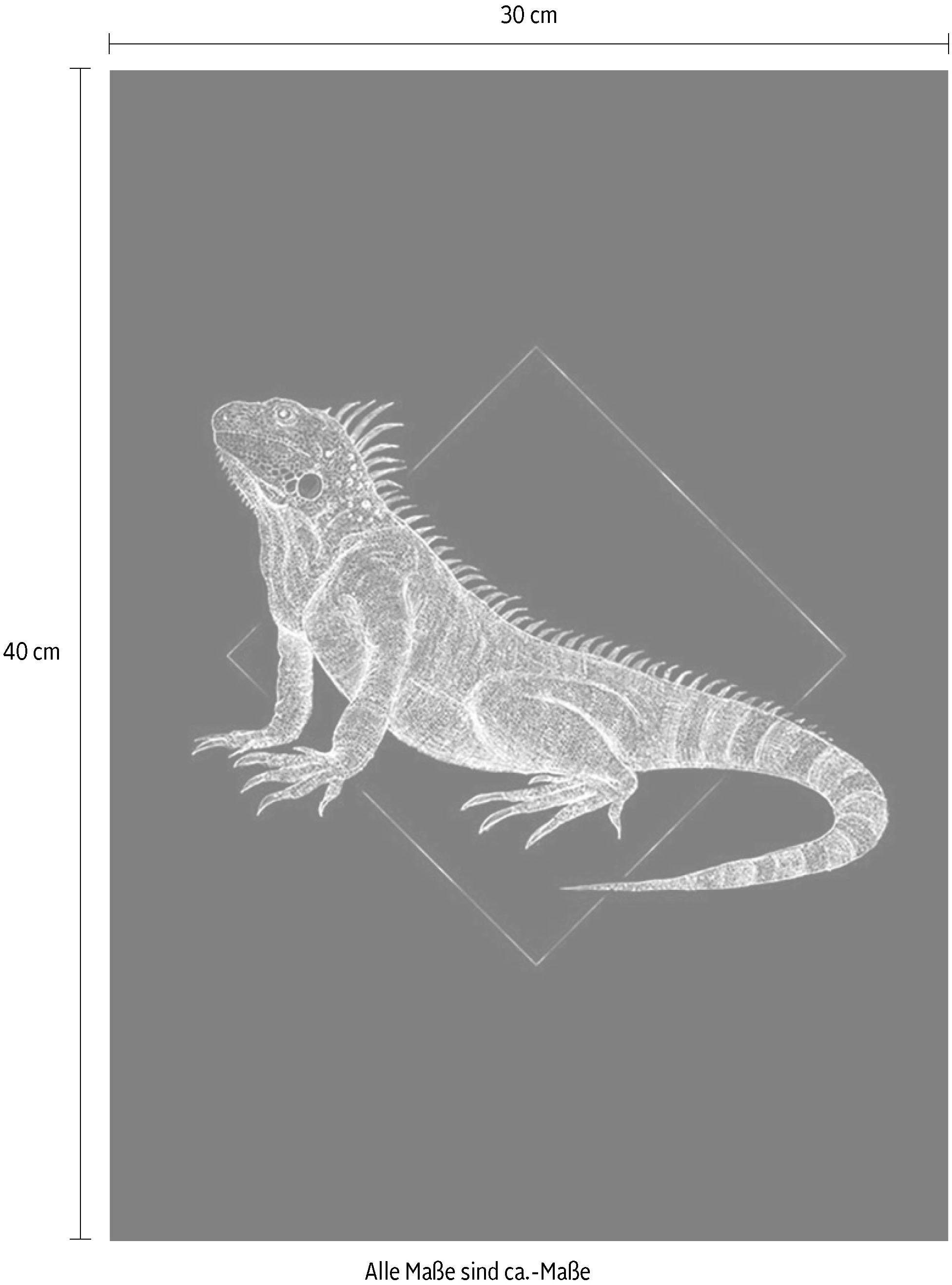 Komar Bild »Iguana Black« Tiere 1 Stk. tlg. Wandbild zur Dekoration - ohne Rahmen