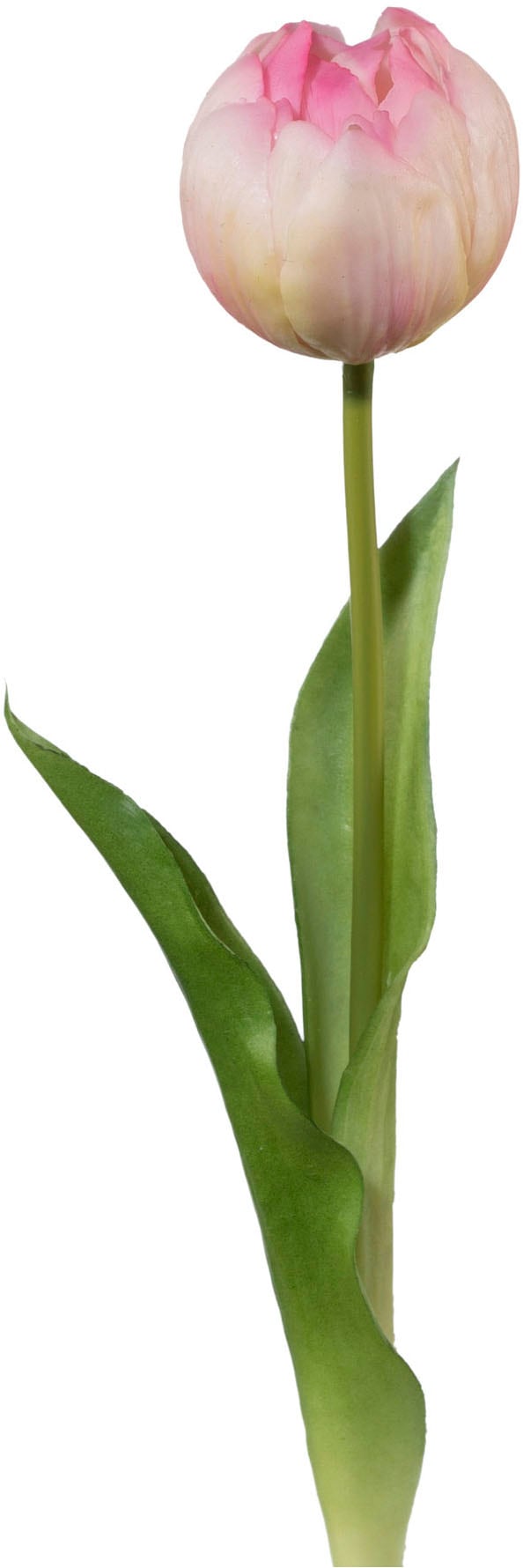 Creativ green Kunsttulpe »Tulpe«, mit real-touch-Blüten