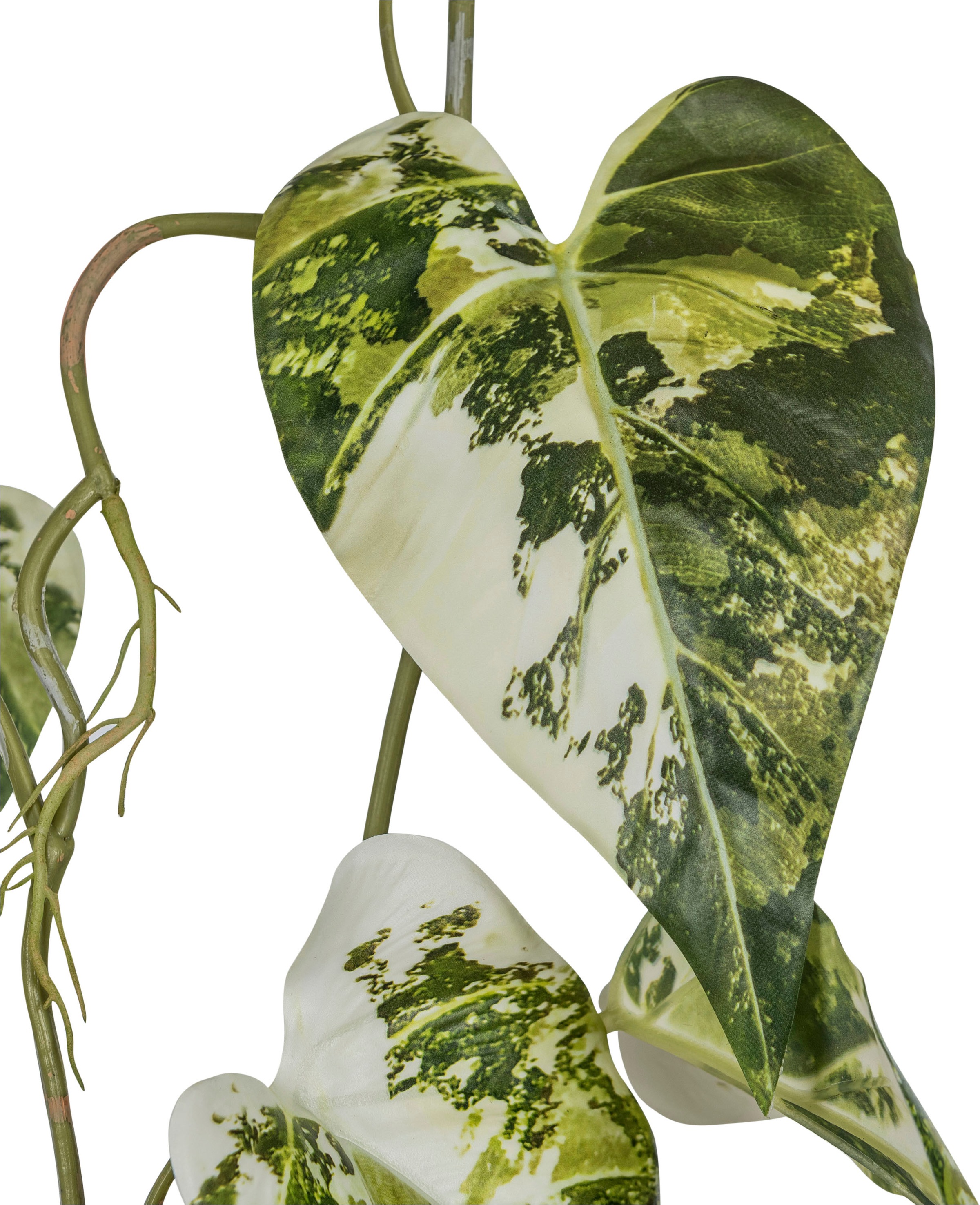 Creativ green Kunstranke »Scindapsusranke«, mit üppigem Blattwerk