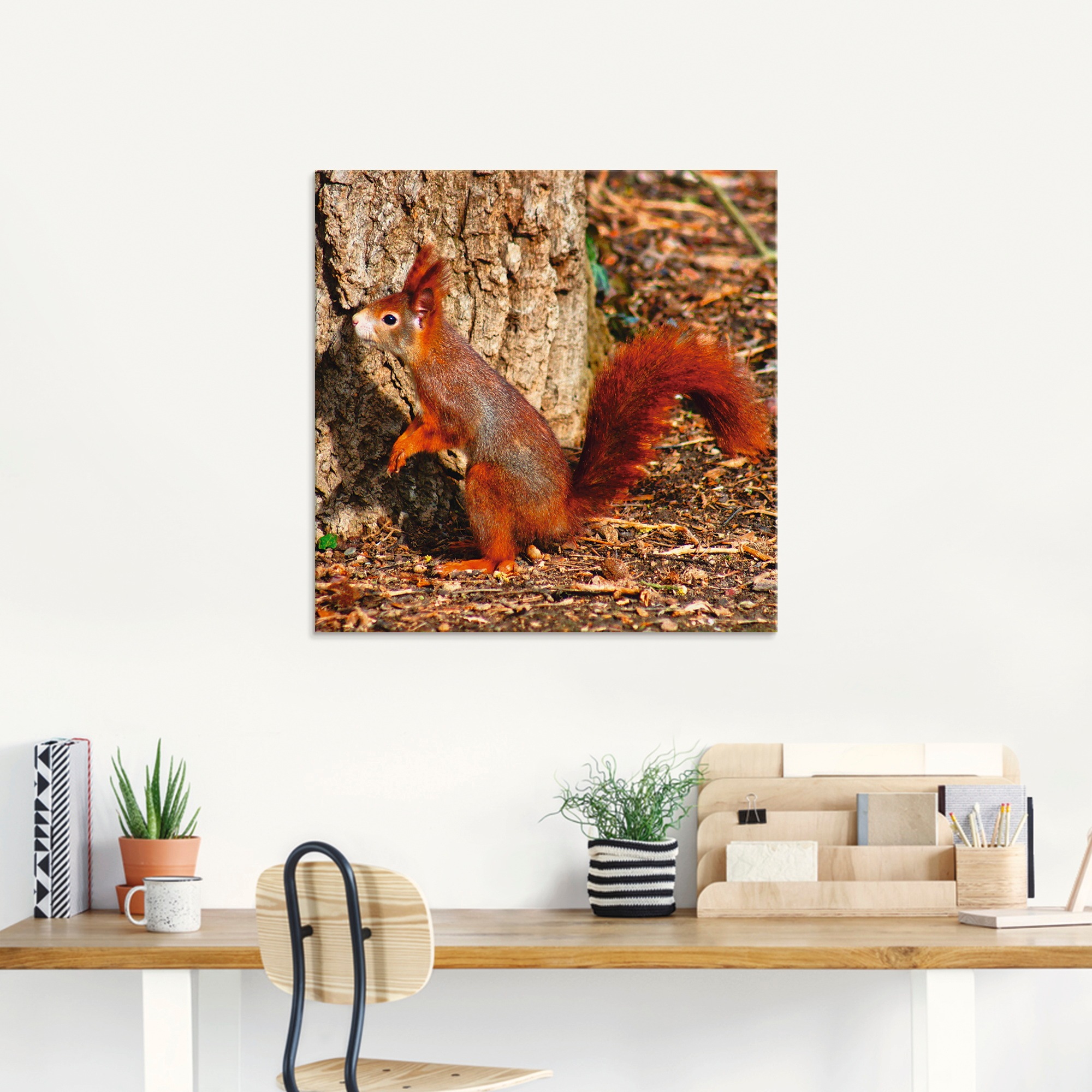 Artland Glasbild bequem »Rotes Eichhörnchen hinaus«, verschiedenen (1 St.), Größen bestellen will in hoch Wildtiere