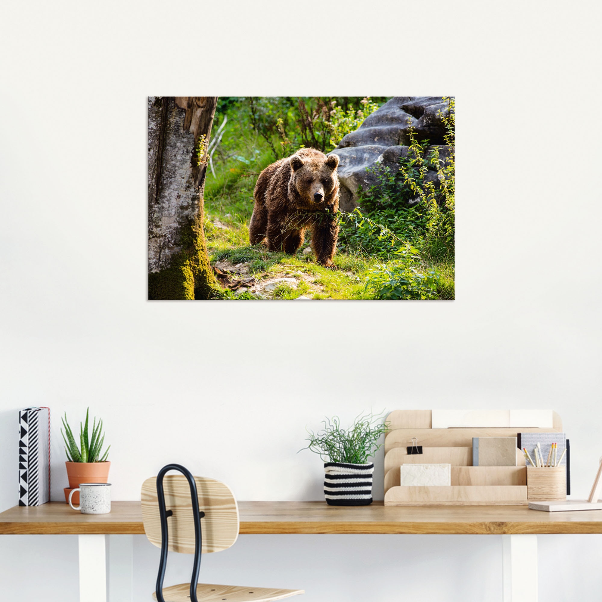 Artland Alu-Dibond-Druck »Braunbär auf Wanderung«, Bären, (1 St.), für Innen- und Außenbereich geeignet, Outdoorbild