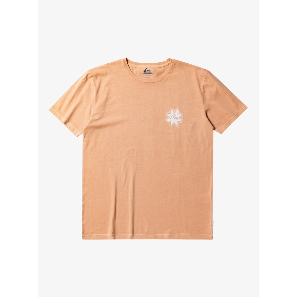 Quiksilver T-Shirt »Qs Psyched«