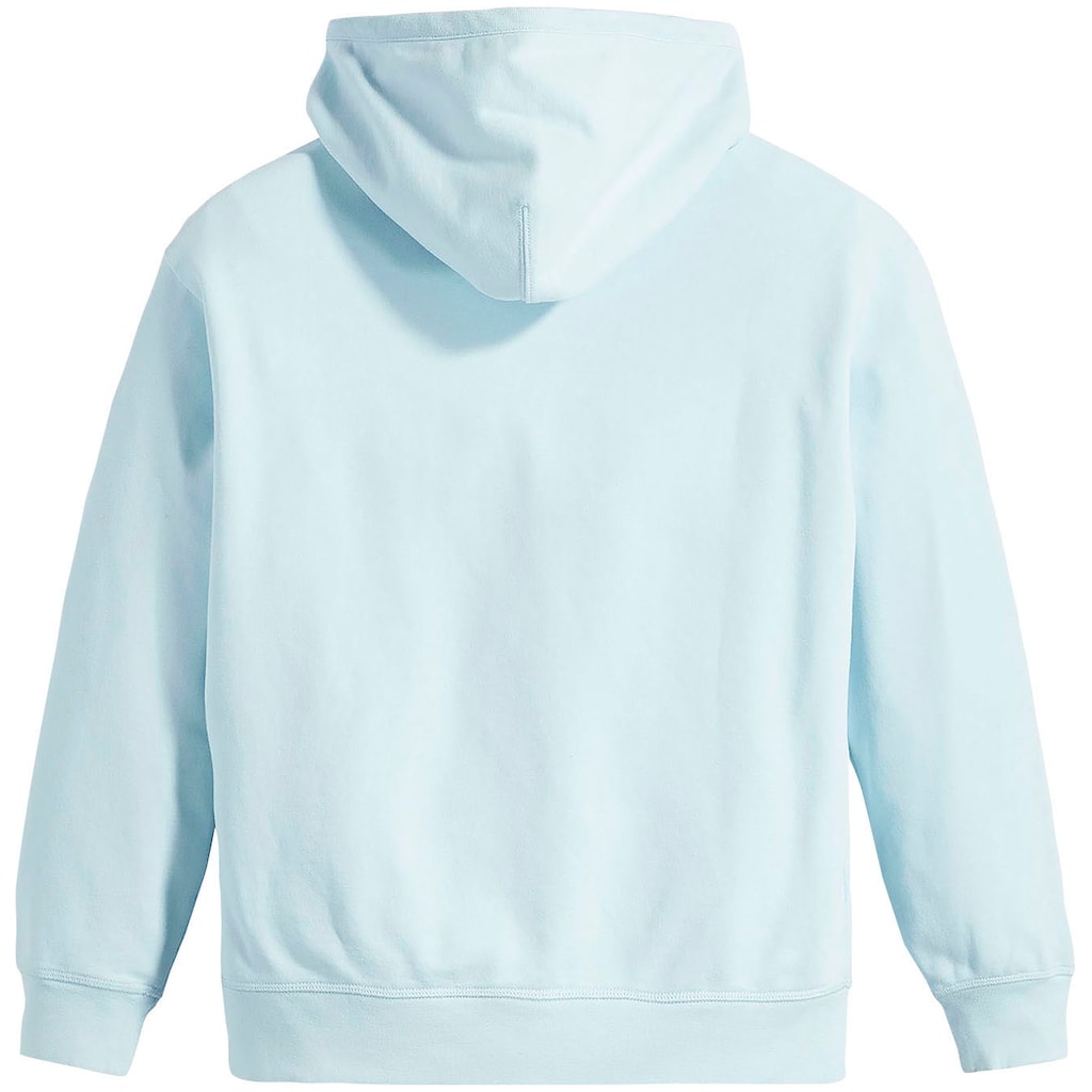 Levi's® Kapuzensweatshirt »Standart Hoodie«