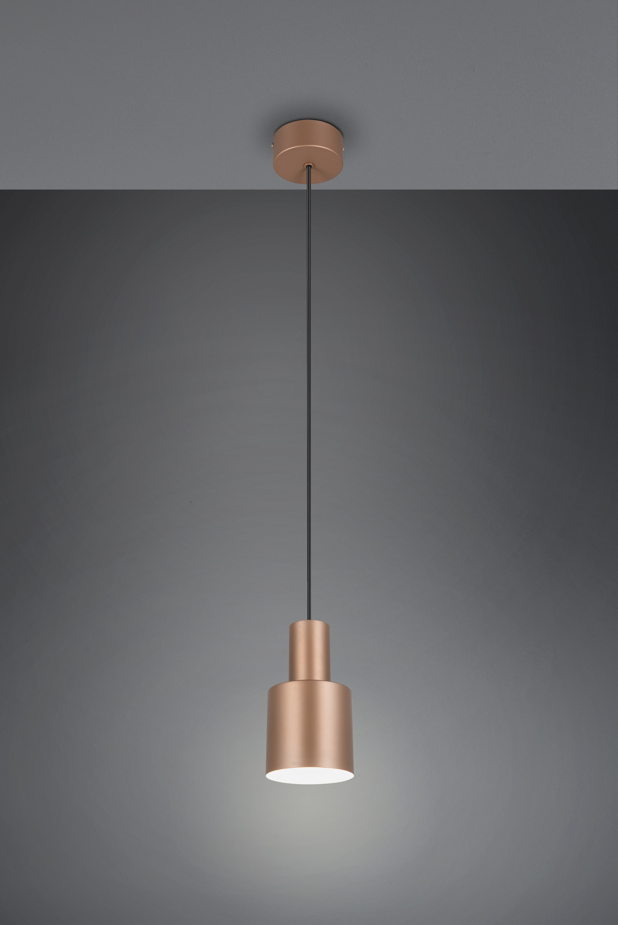 TRIO Leuchten Pendelleuchte »AGUDO, Hängelampe 1-flammig, exkl 1xE27 max 10W, höhenverstellbar« E27 1 Stk. warmweiß - kaltweiß Hängelampe Ø 12cm, bis max 150cm Abhängung, Küche Esszimmer Wohnzimmer