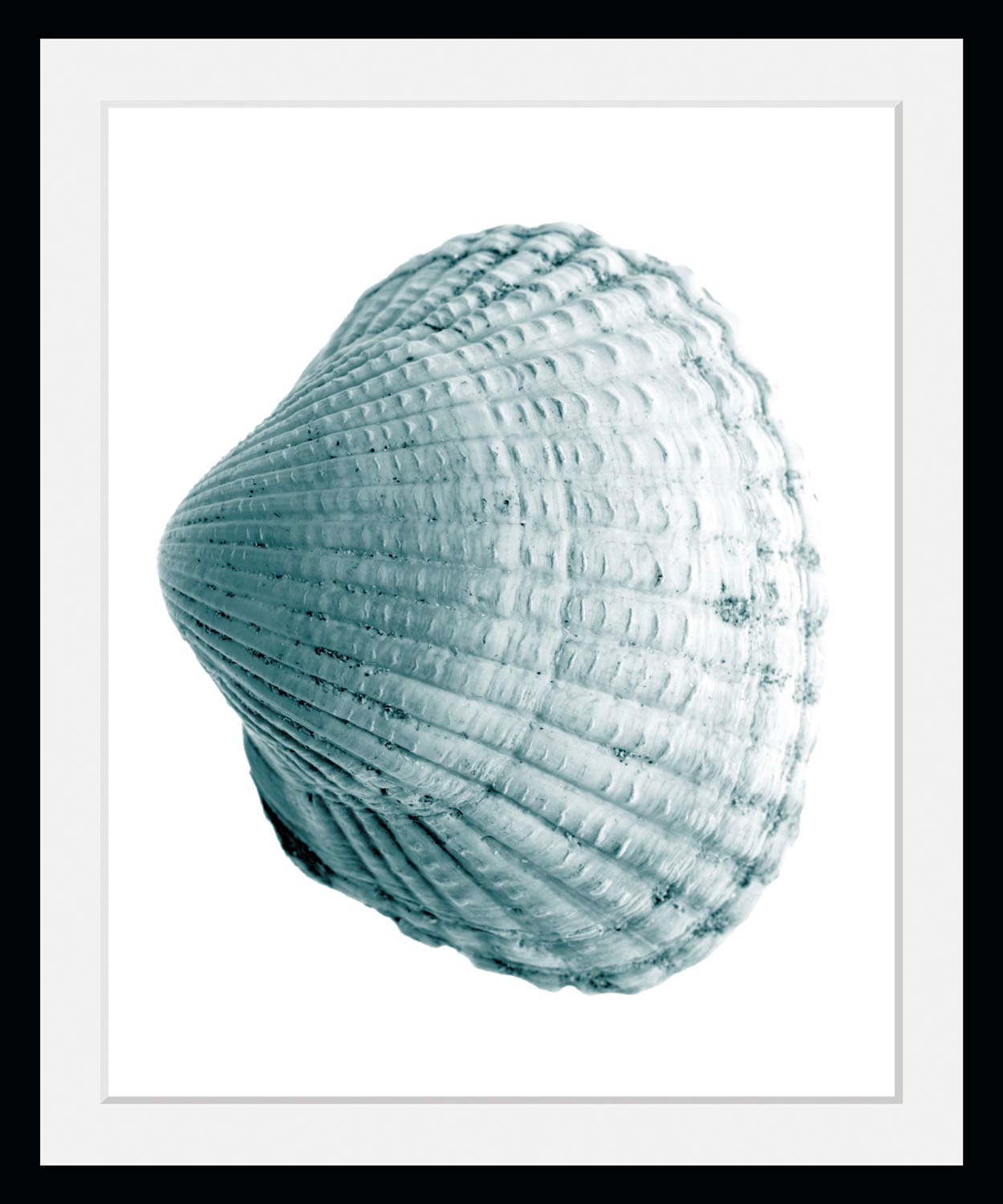 queence Bild »Leon« Kunst | Meer | Wassertiere 1 Stk. tlg. HD Premium Poster-Druck inkl. Holzrahmen