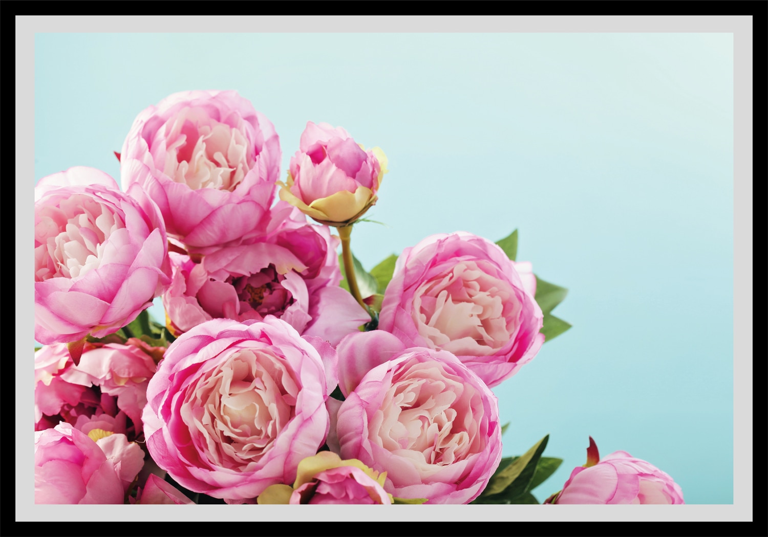 queence Bild »Marisa«, Blumen, gerahmt, Rosen