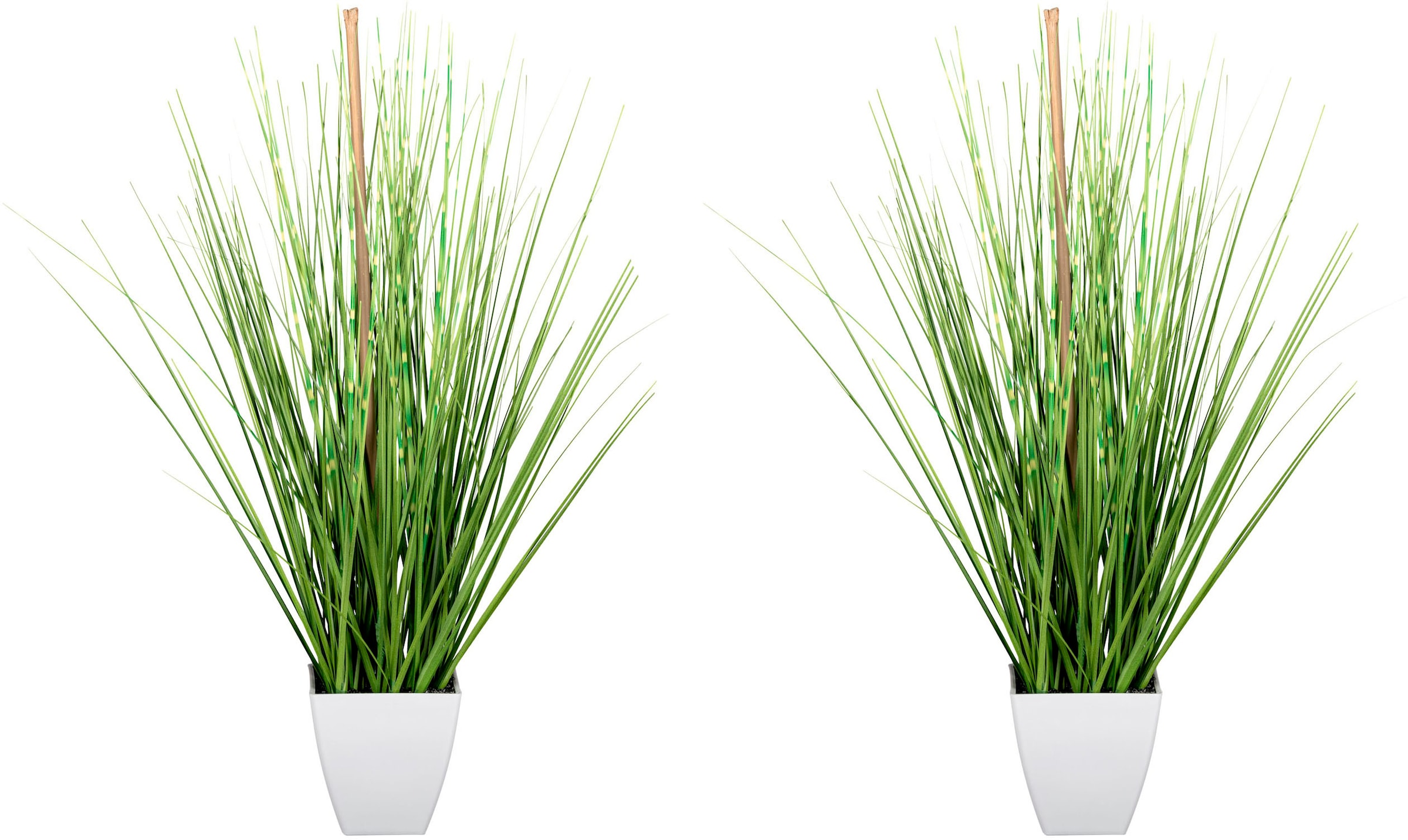 Creativ green Kunstgras »Grasbusch«, im weißen Topf
