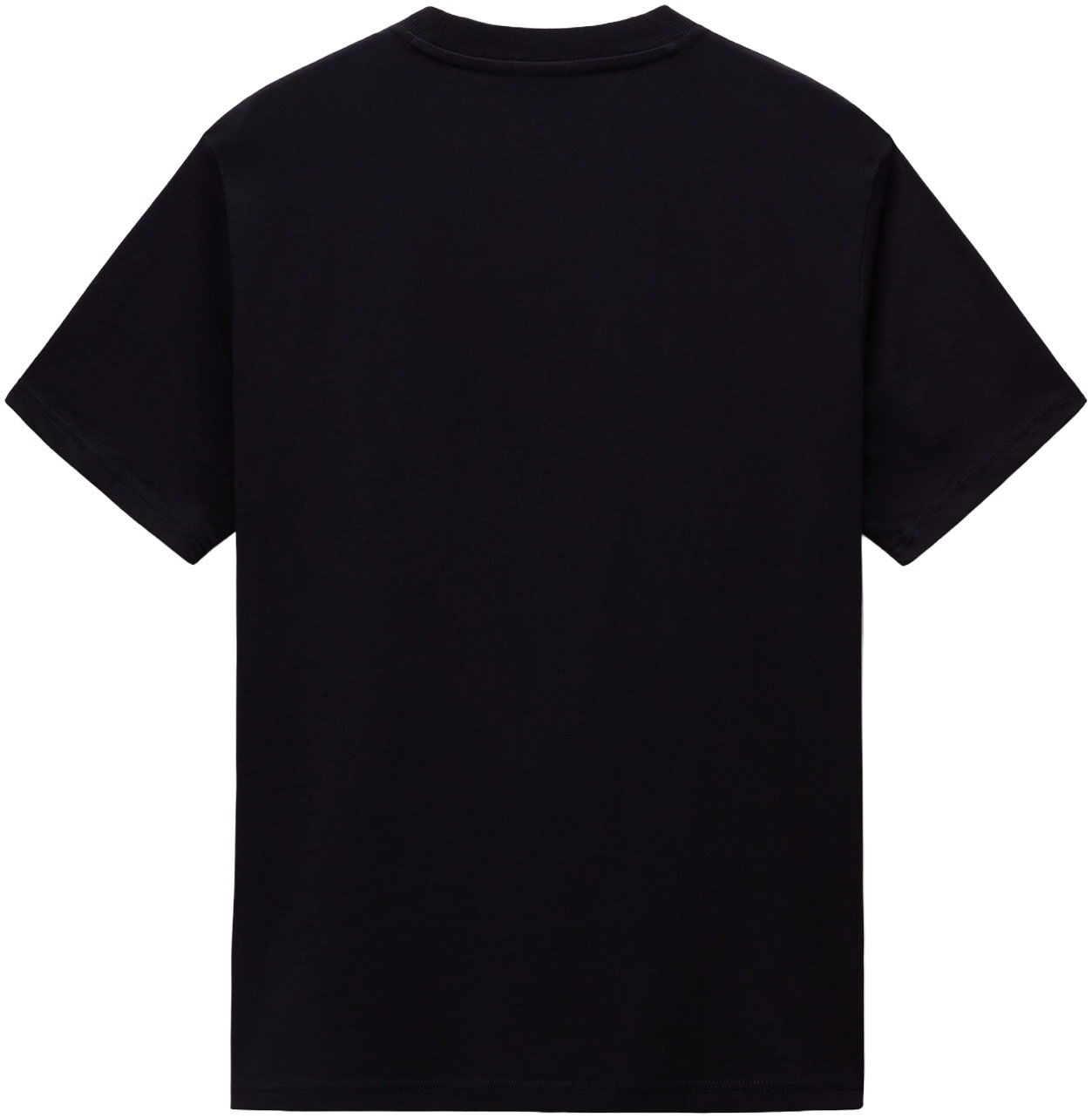 Napapijri T-Shirt »DRAPEAU« mit Print, Rundhals, Jersey