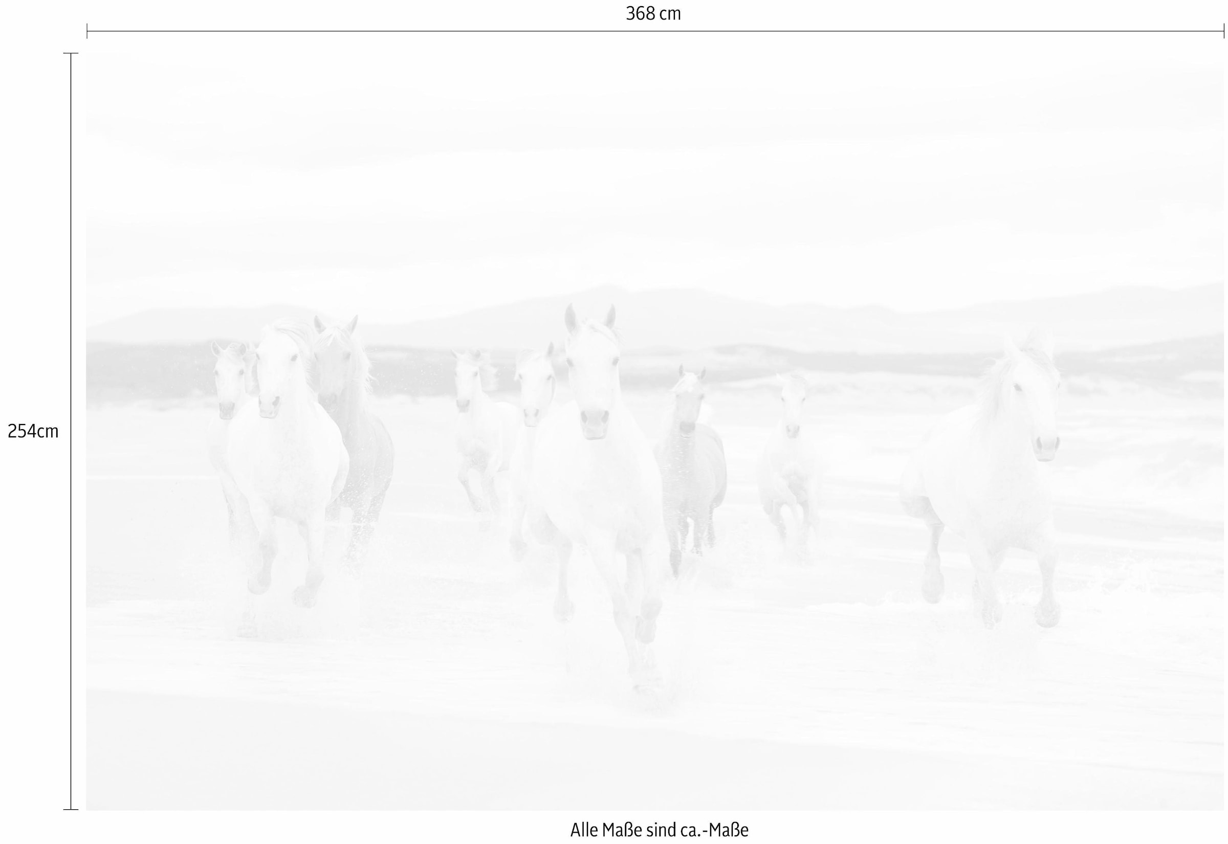 Komar Fototapete »White Horses - Größe 368 x 254 cm«, bedruckt, Wohnzimmer, Schlafzimmer