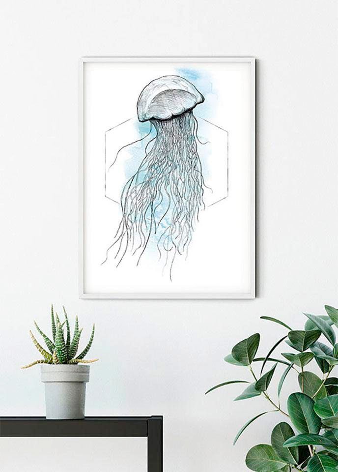 Komar Bild »Jellyfish Watercolor« Tiere 1 Stk. tlg. Wandbild zur Dekoration - ohne Rahmen