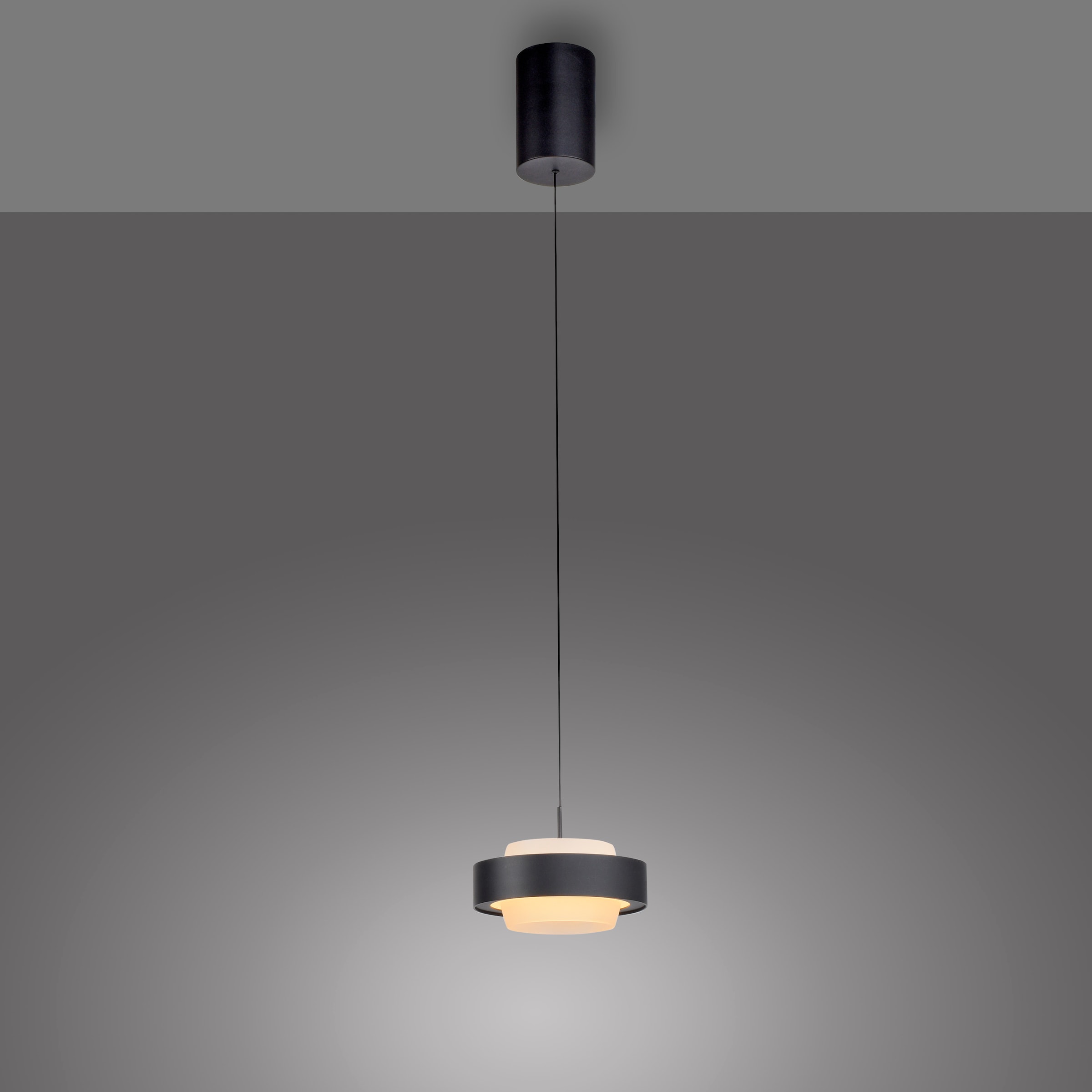 SCHÖNER WOHNEN-Kollektion LED Pendelleuchte »ELMO« LED-Board 1 Stk. Warmweiß SCHÖNER WOHNEN Kollektion, Comfort Lift, Dimmfähig per Tronicdimmer