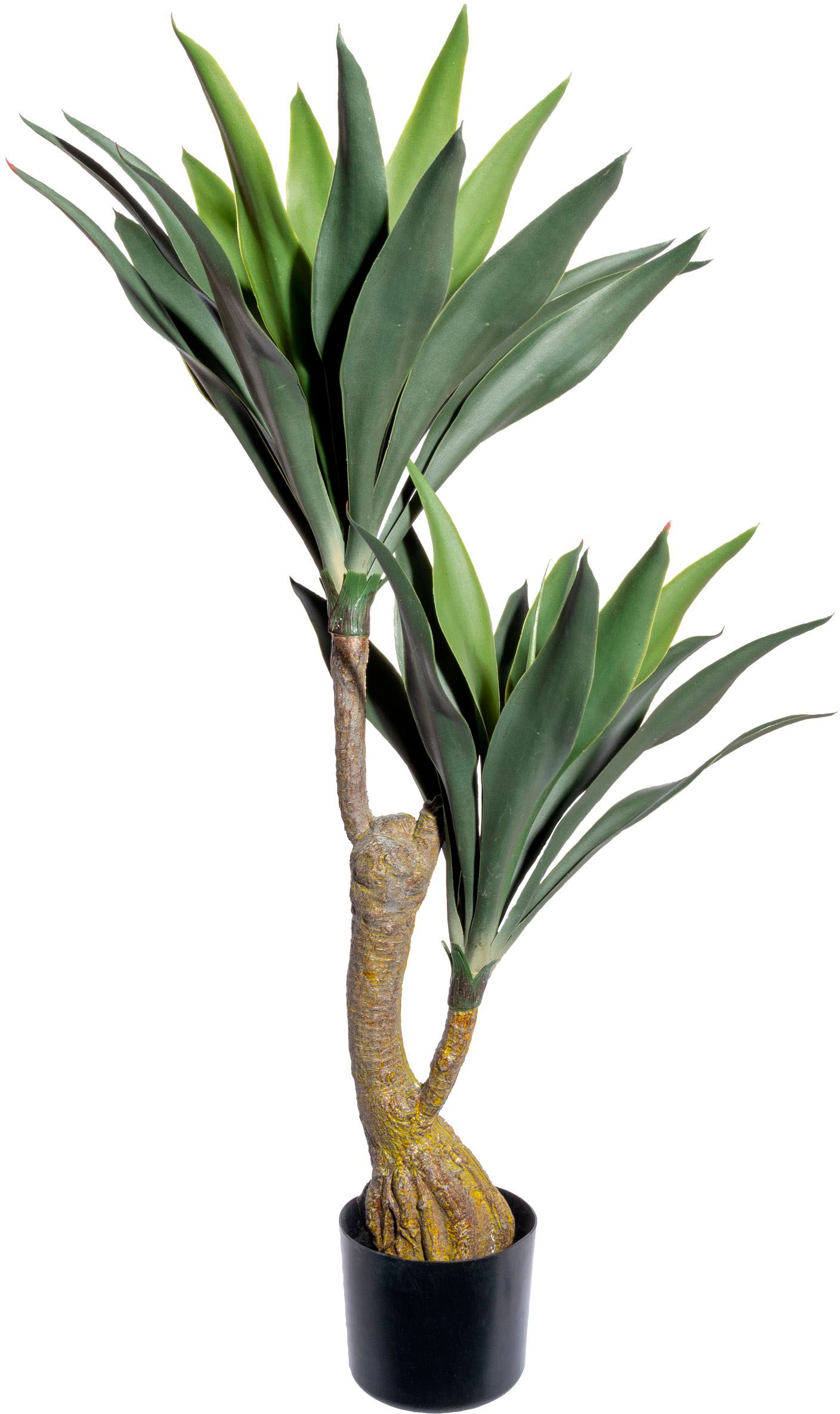 Künstliche Zimmerpflanze »Dracaena«