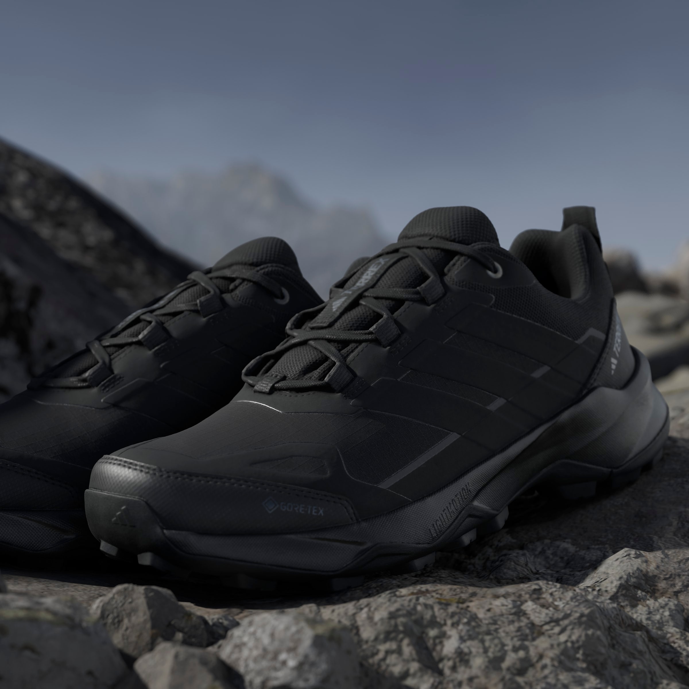 adidas TERREX Wanderschuh »TERREX SKYCHASER AX5 GORE-TEX«  wasserdicht dank Gore-Tex Membrane