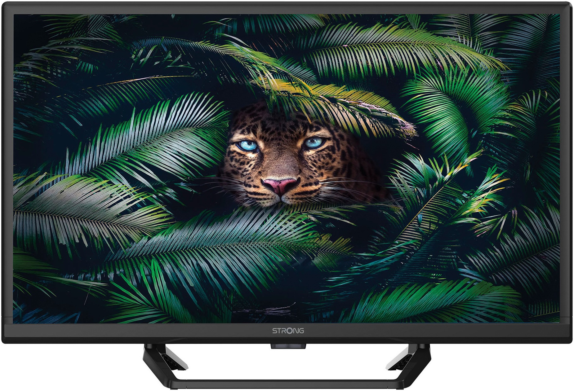 Strong SRT24HE4023C 24 Zoll HD TV; LED TV