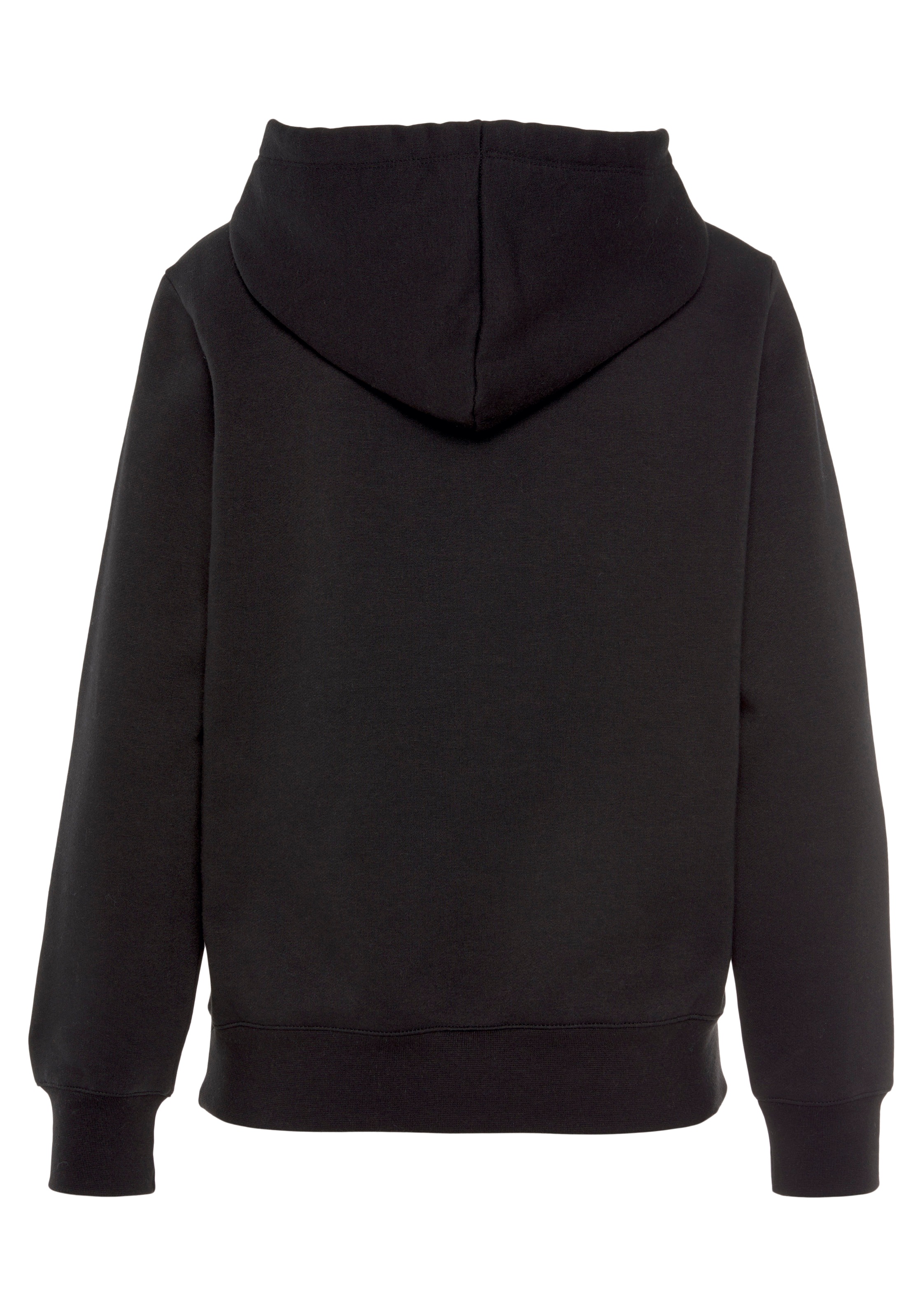 Champion Kapuzensweatshirt