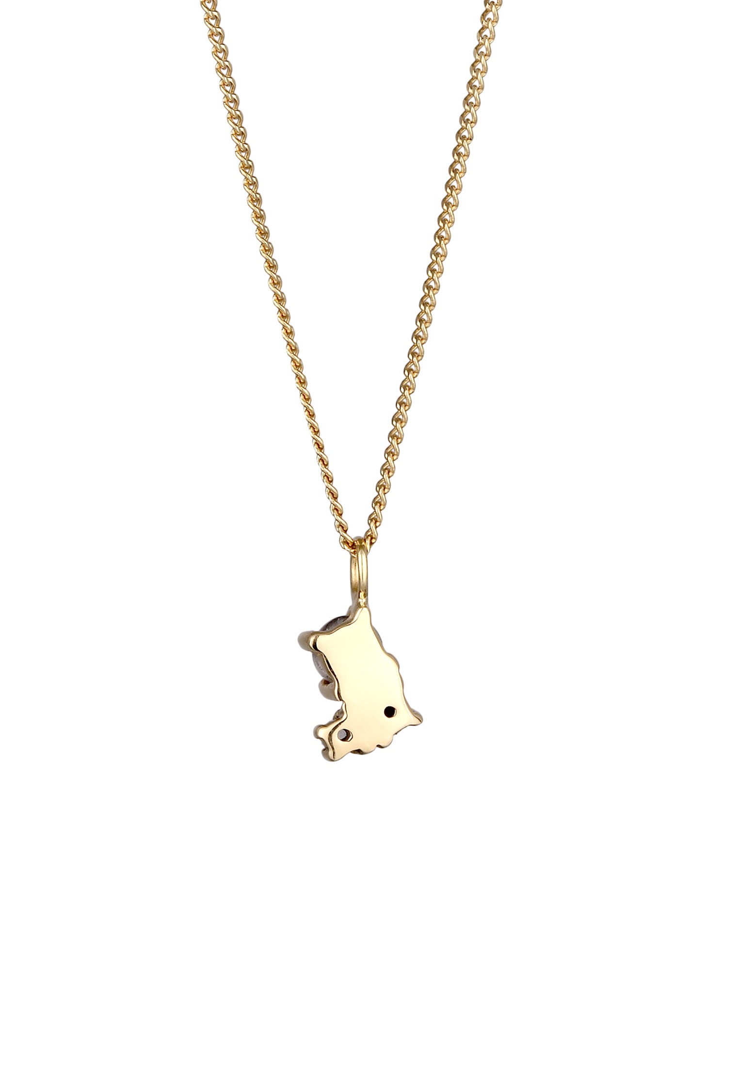 Elli DIAMONDS Silberkette »Halskette Anhänger Diamant Schwarz (0.006 ct) Klassik 375 Gelbgold«