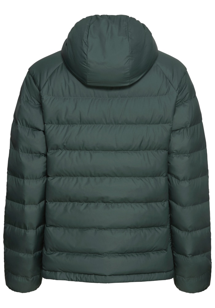 Jack Wolfskin Daunenjacke »WILD PASS DOWN HOODY W RDS« mit Kapuze mit Kapuze, warm gefüttert, wind- und wasserabweisend, leicht