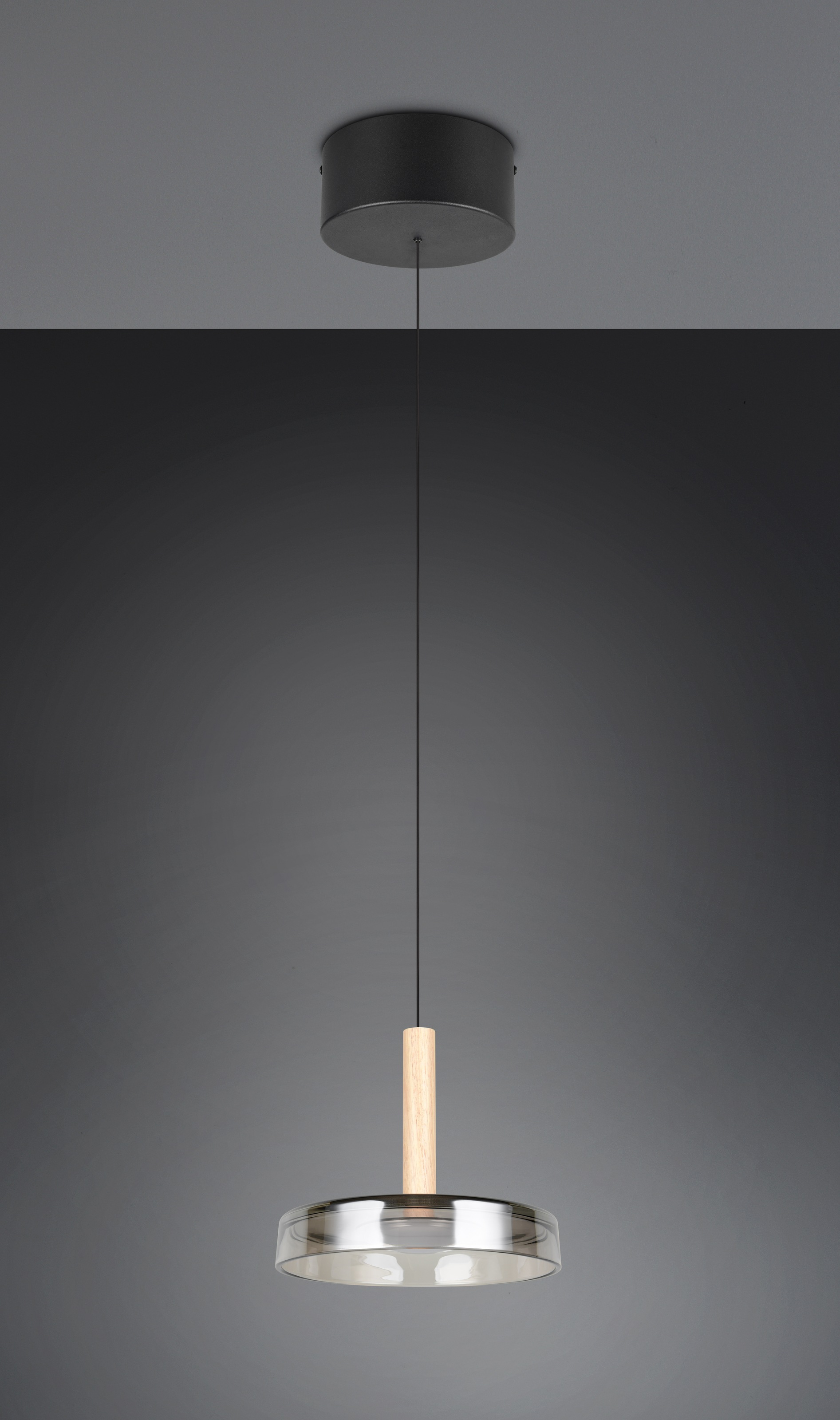 TRIO Leuchten LED Pendelleuchte »CELESTE dimmbare LED Hängelampe aus Metall Glas & Holz, 10W 1100 Lumen« LED-Board 1 Stk. Warmweiß einfach höhenverstellbar von 50-200 cm, Ø 22cm, 3-Stufen Dimmfunktion