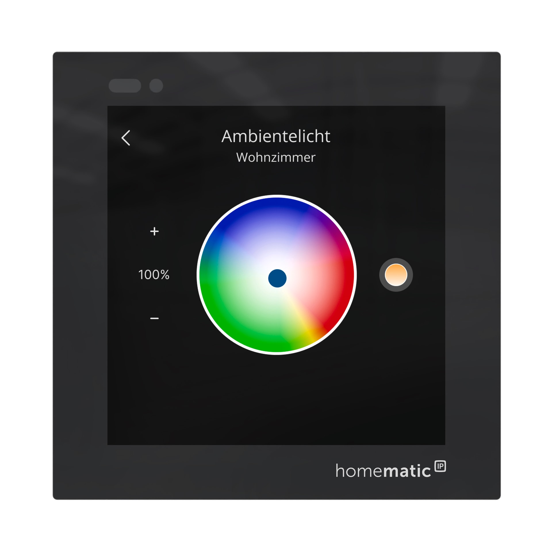 Homematic IP Smart-Home-Steuerelement »Glasdisplay«