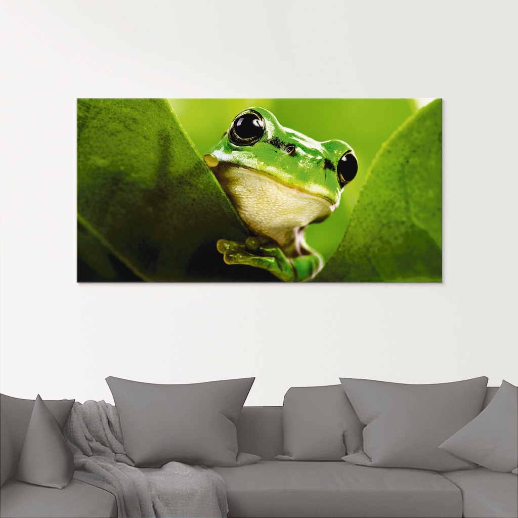 Artland Glasbild »Ausspähender Frosch«, Wassertiere, (1 St.)