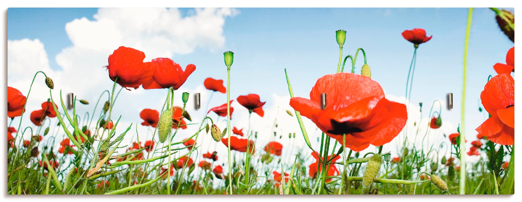 Hakenleiste »Feld mit Mohnblumen unter Himmel«, MDF